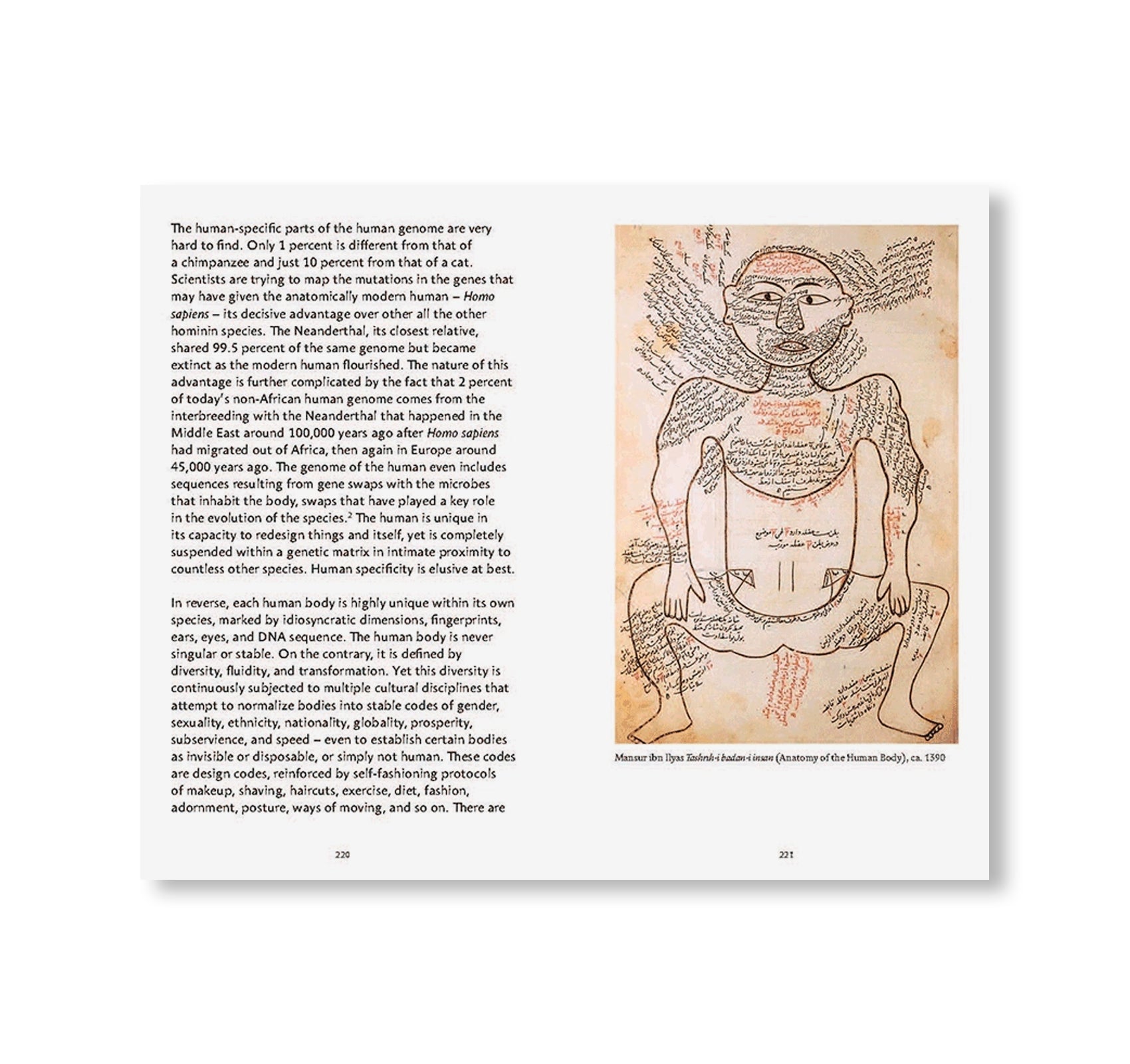 ARE WE HUMAN? - NOTES ON AN ARCHAEOLOGY OF DESIGN by Beatriz Colomina, Mark Wigley