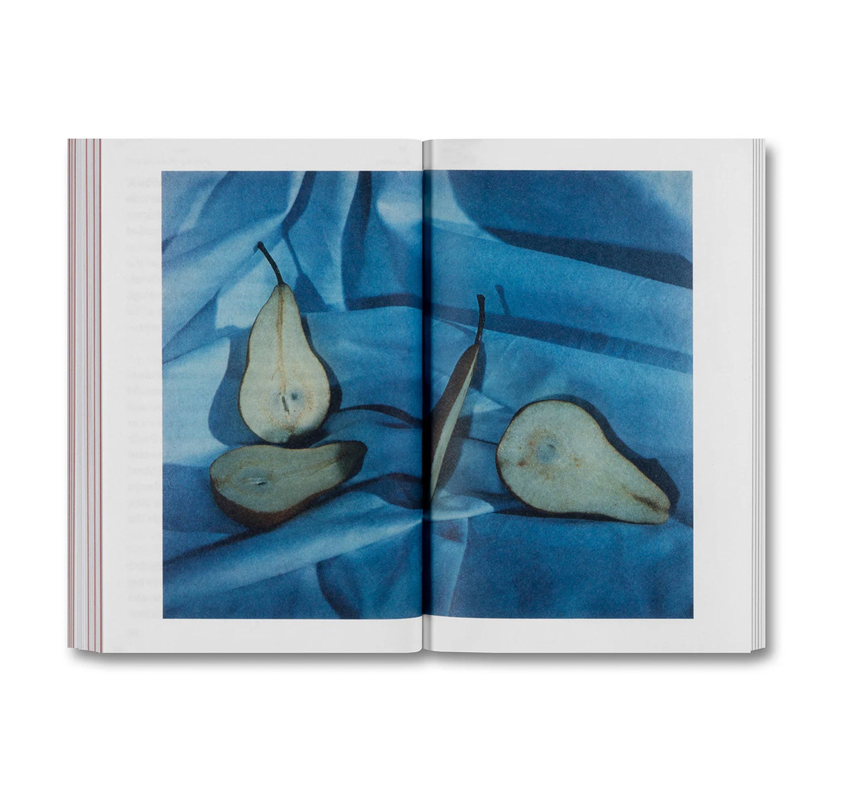 THE DEVOURING EYE: PHOTOGRAPHY AND THE MOUTH by Olivier Richon