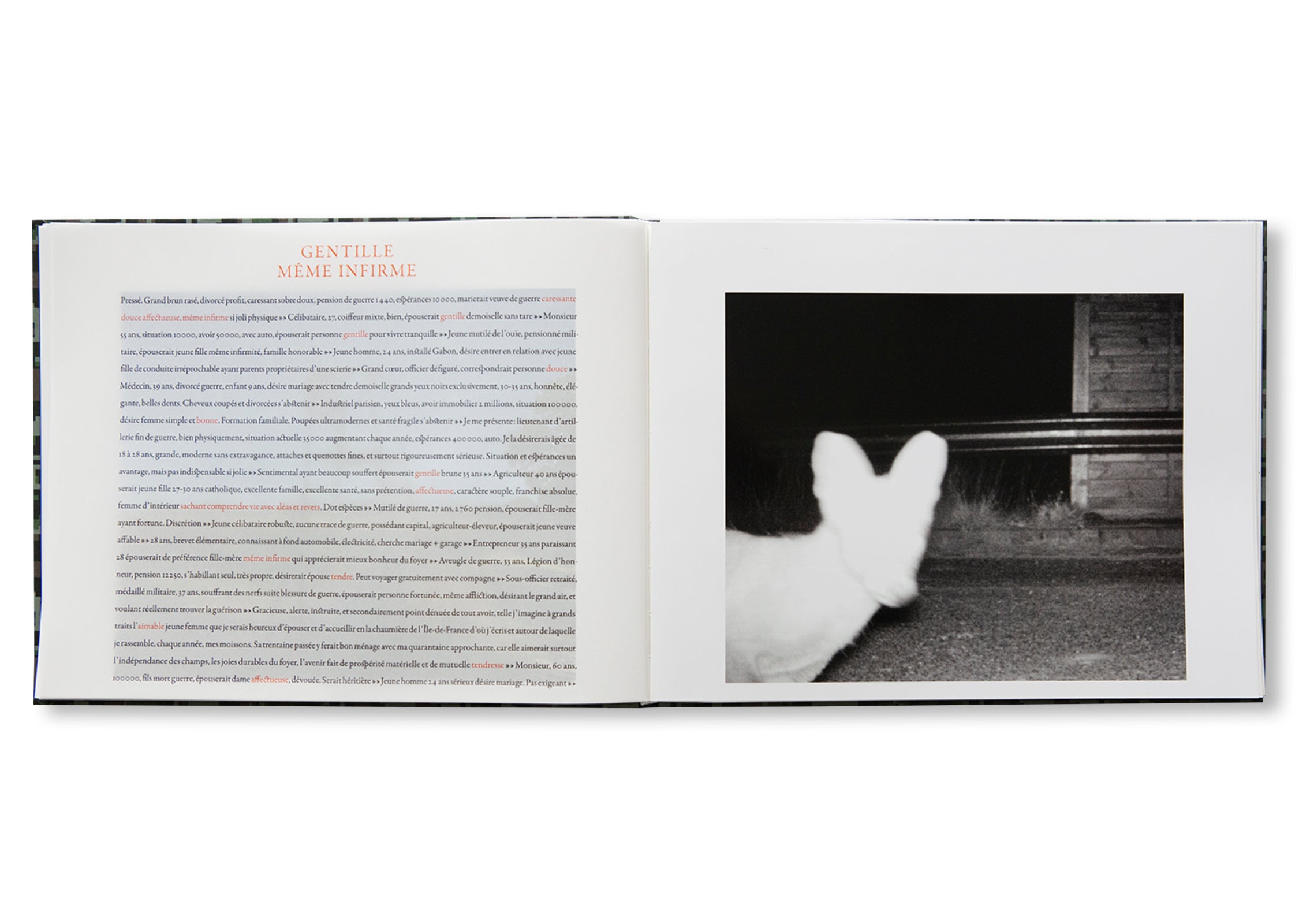 ON THE HUNT by Sophie Calle