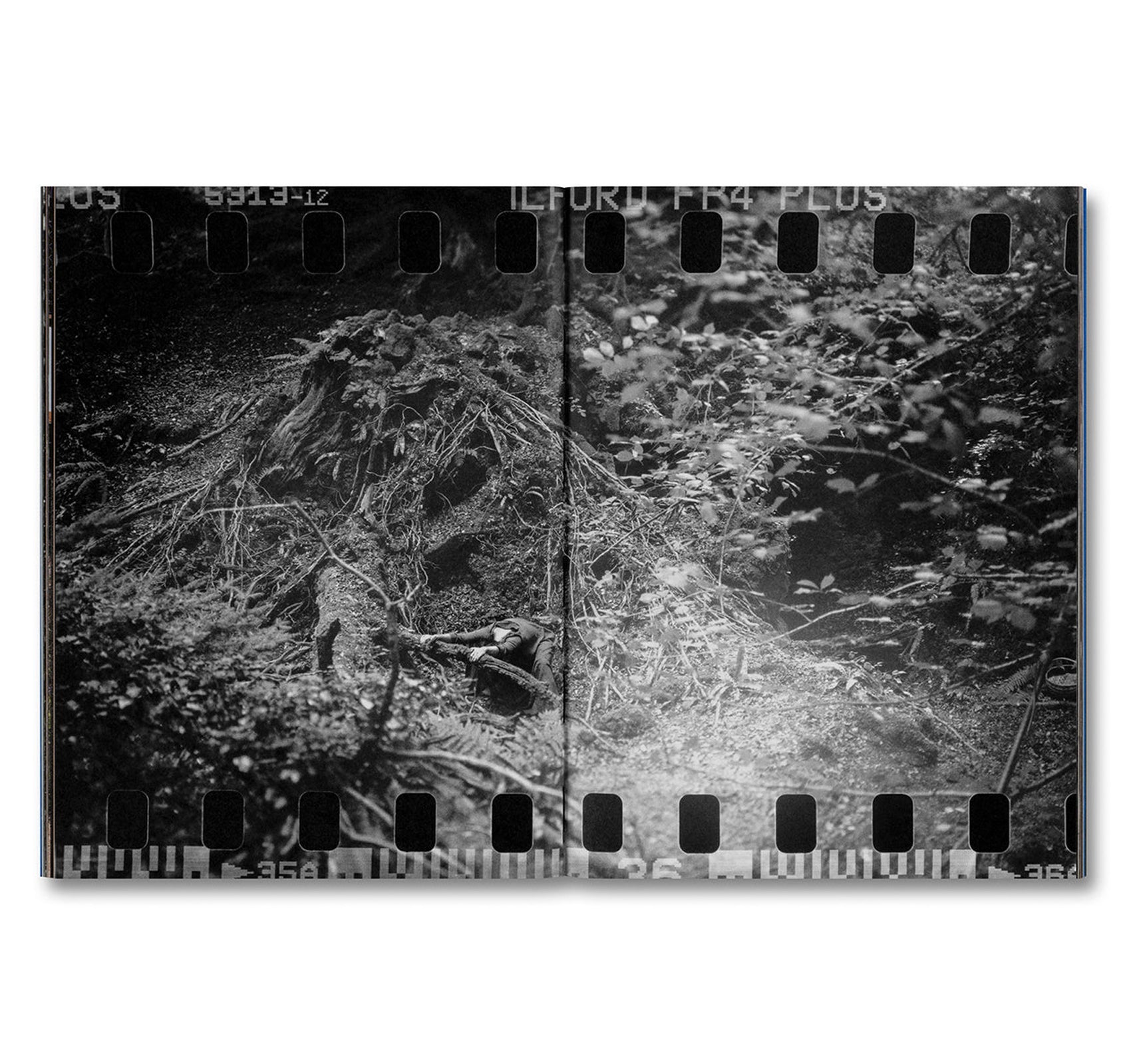 EVEN AS A SHADOW, EVEN AS A DREAM by Chloé Zhao, Jessie Buckley, Agata Grzybowska