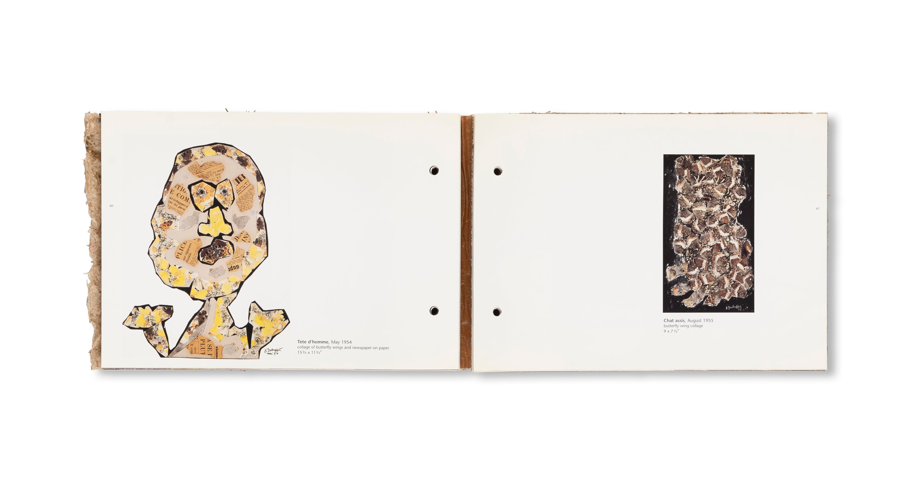 THE RADIANT EARTH by Jean Dubuffet [COVER B]