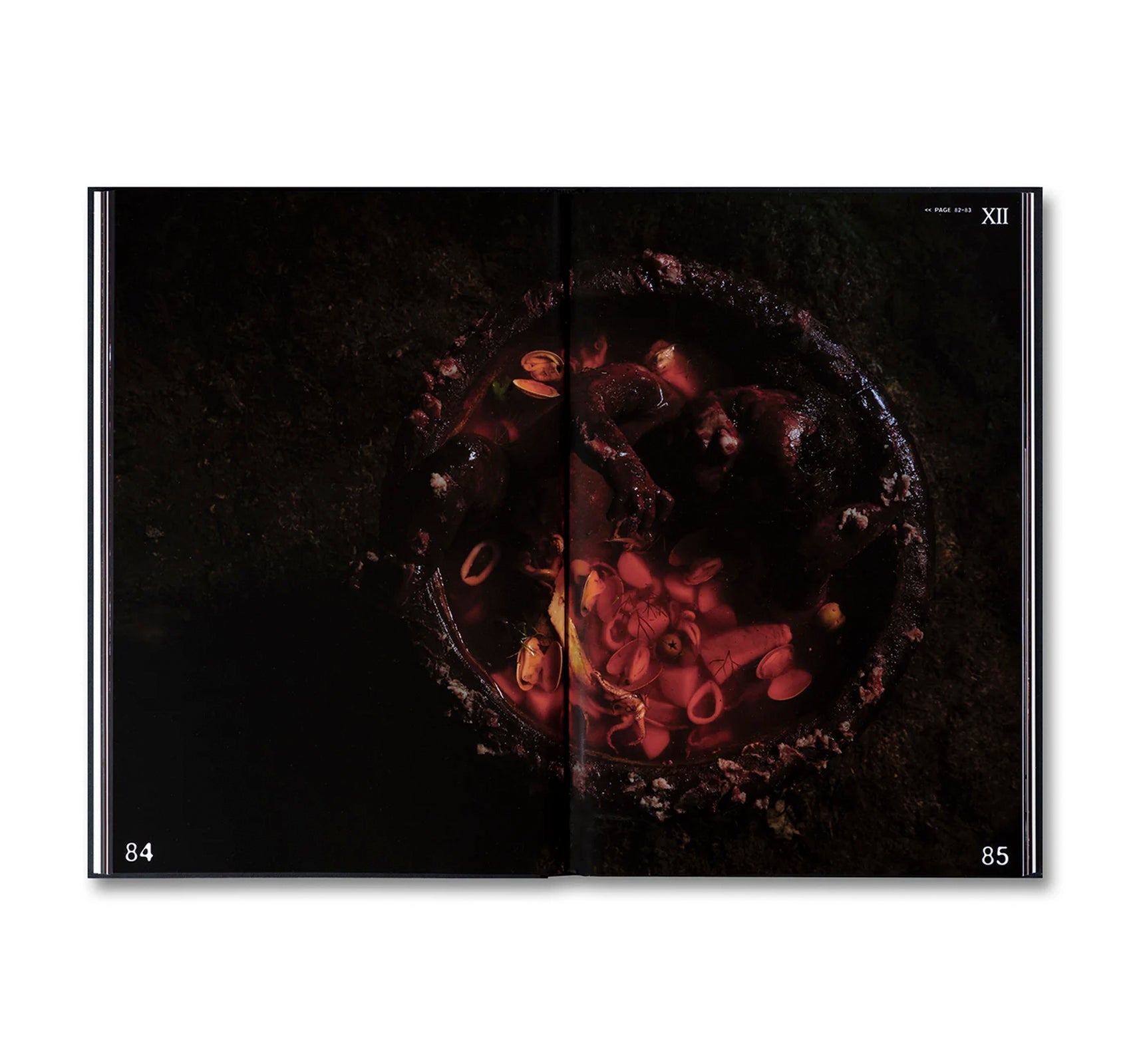 HORROR CAVIAR: A COOKBOOK by Justin J Wee [SECOND PRINTING]