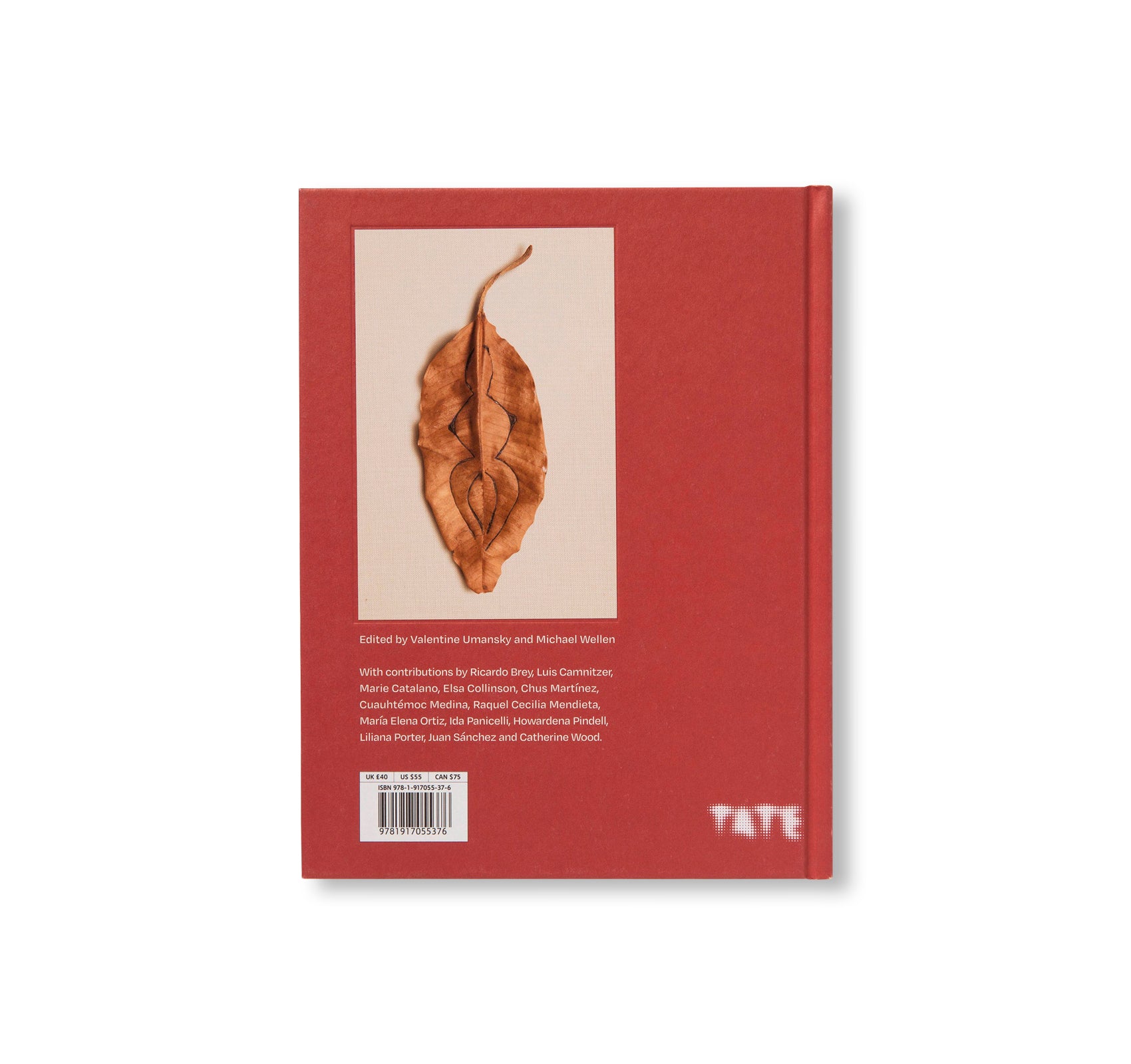 ANA MENDIETA by Ana Mendieta (TATE PUBLISHING)