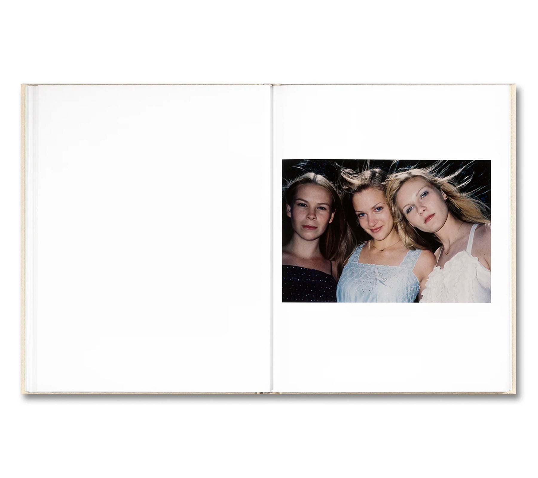 THE VIRGIN SUICIDES by Sofia Coppola