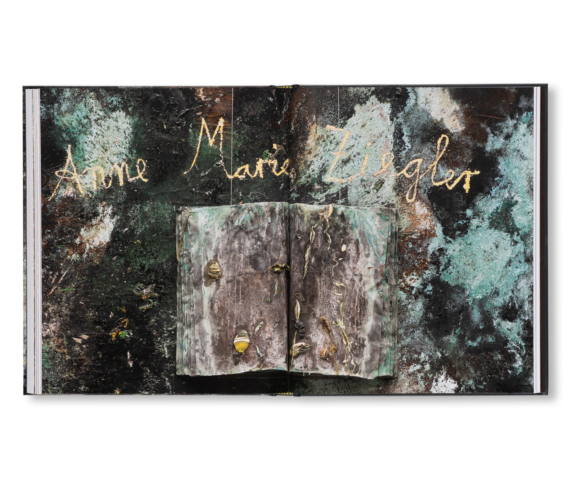 THE WOMEN ALCHEMISTS by Anselm Kiefer