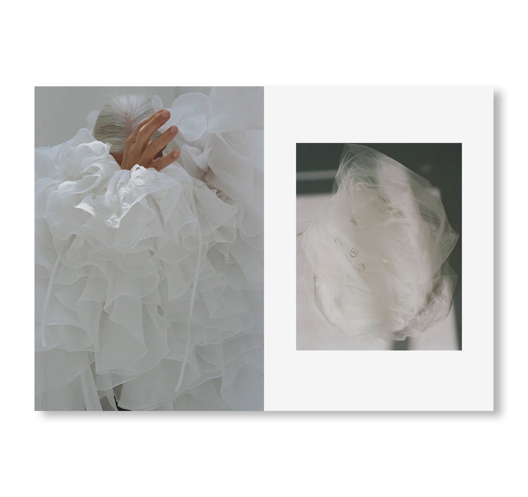 STUDY MAGAZINE VOLUME 12