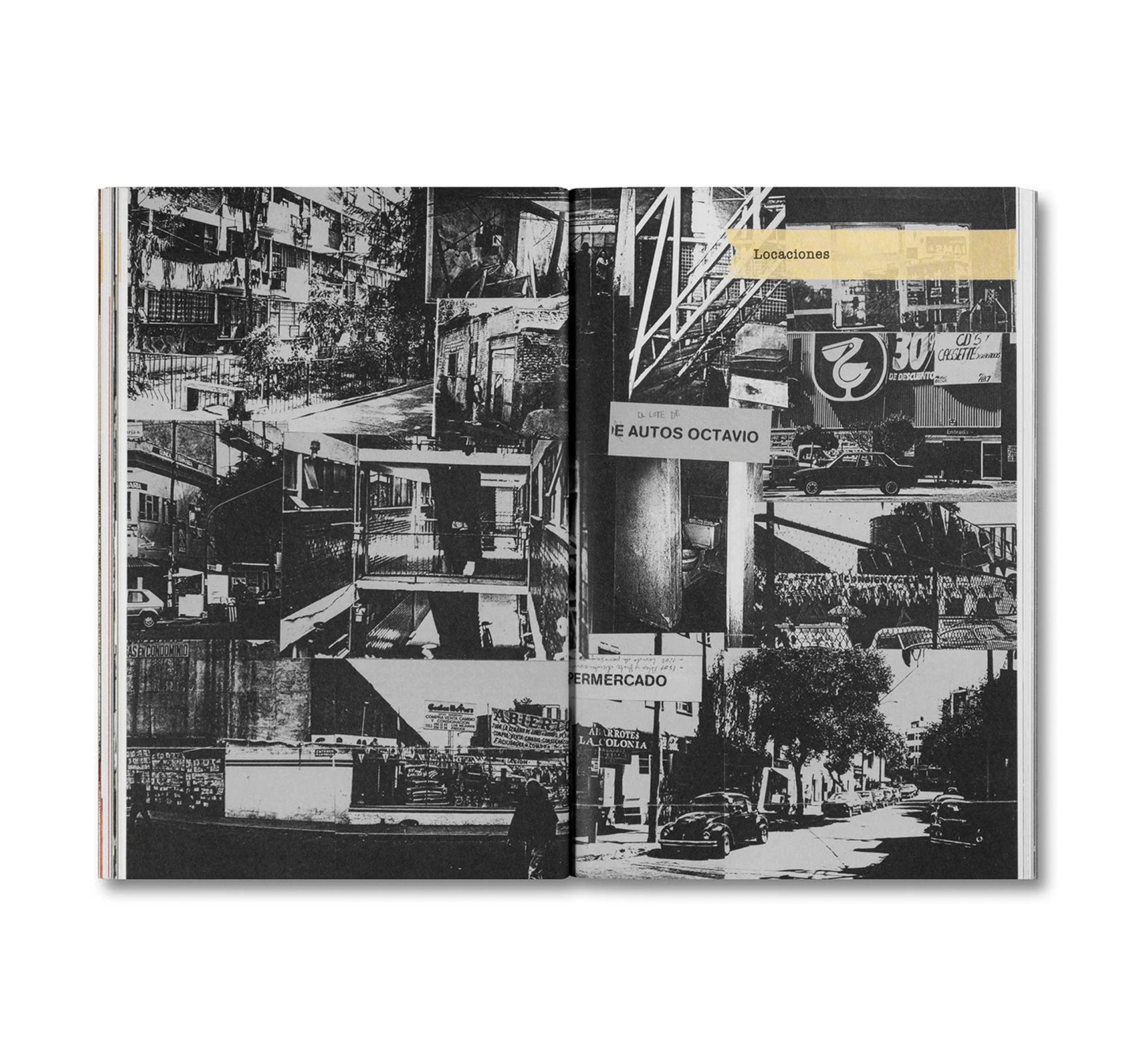 DESATAR AMORES PERROS by Fernando Llanos [SPANISH EDITION]