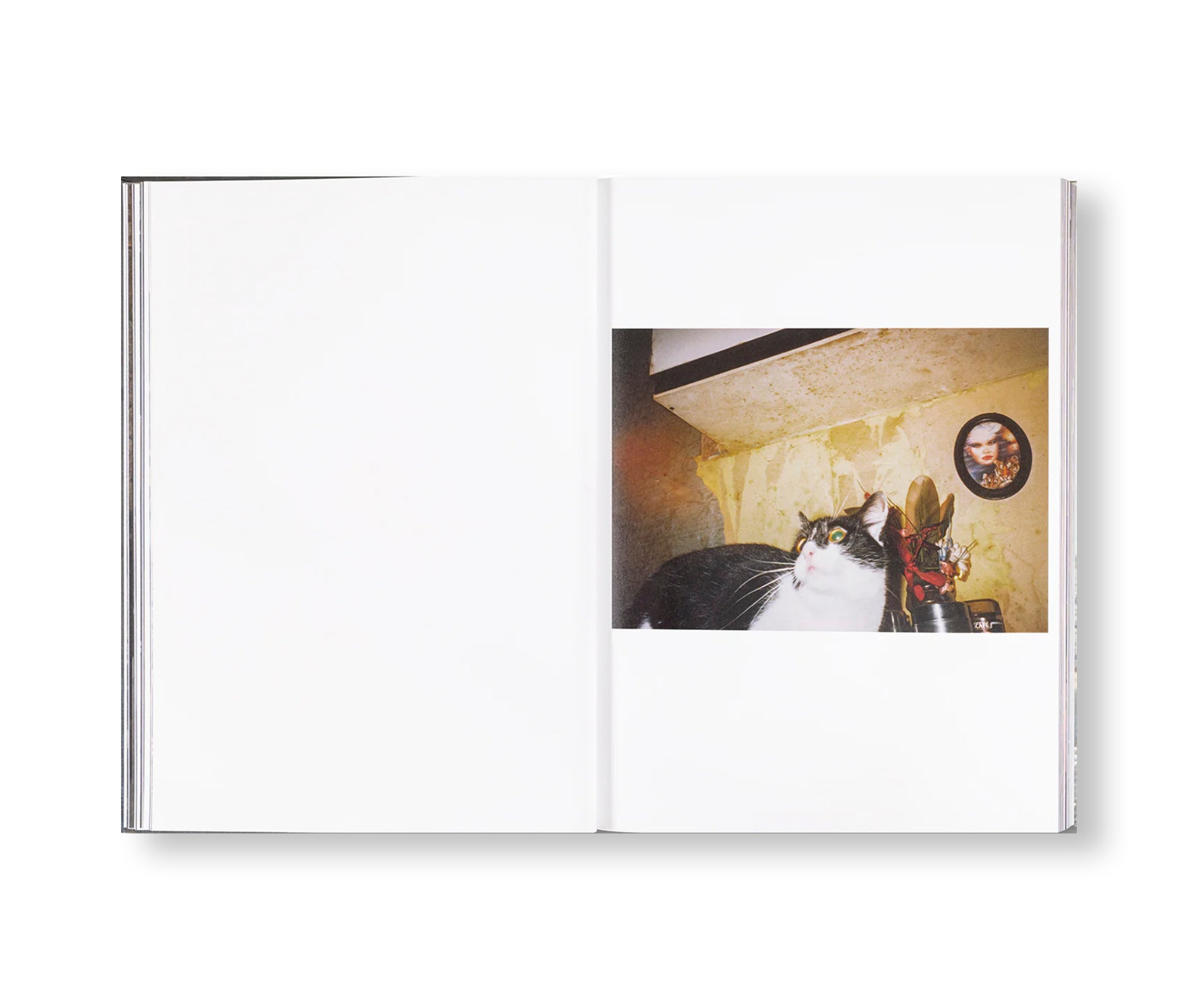 RAY’S A LAUGH by Richard Billingham [SIGNED]