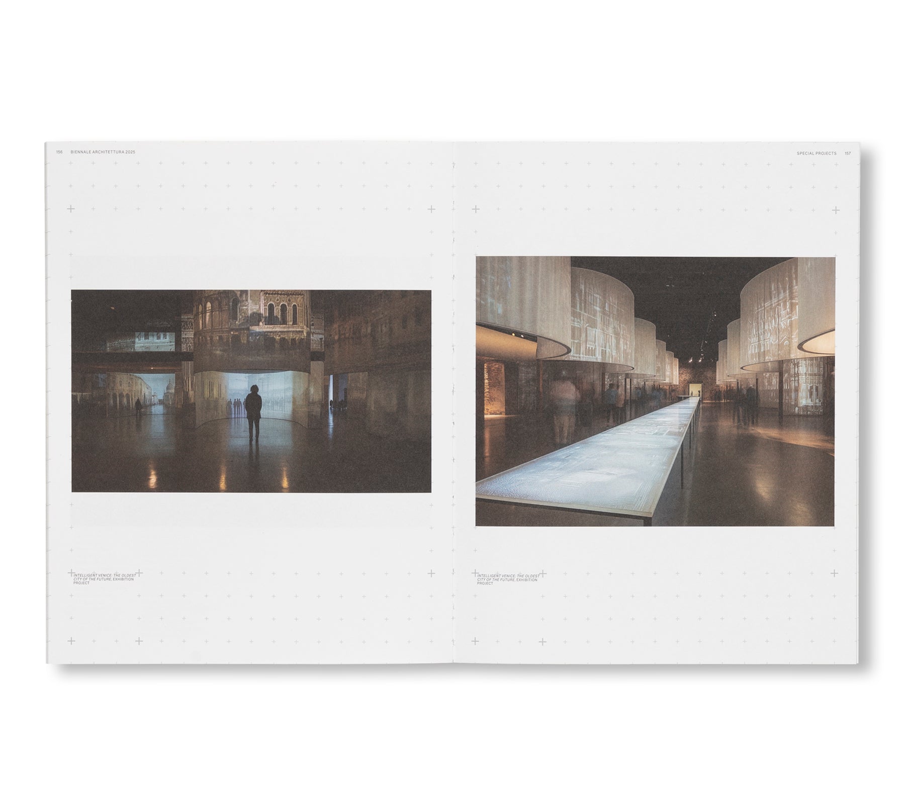 BIENNALE ARCHITETTURA 2025: INTELLIGENS. NATURAL. ARTIFICIAL. COLLECTIVE.