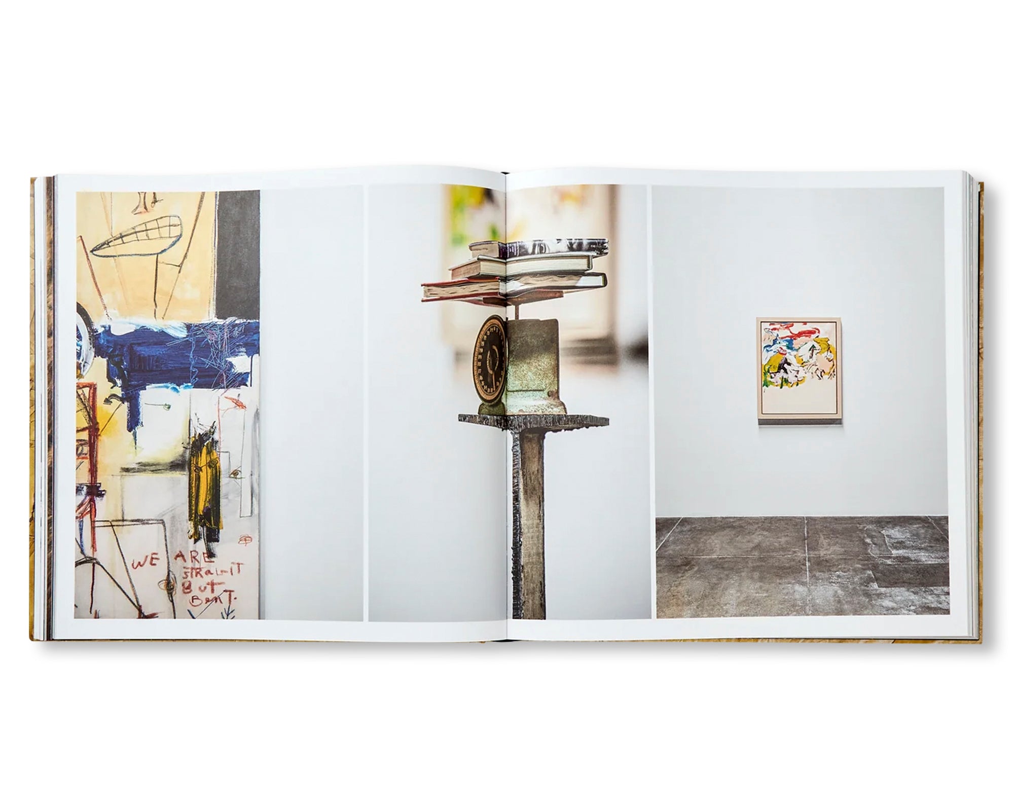 DAVID HAMMONS by David Hammons (HAUSER & WIRTH)