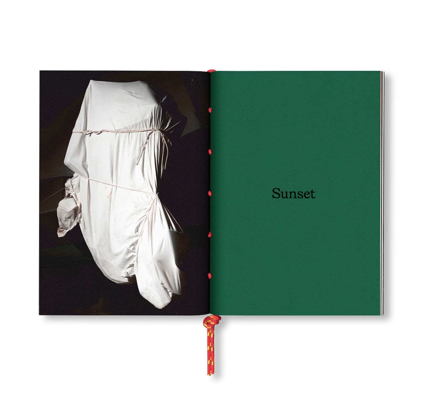 MOTORS by Louis De Belle [COLLECTORS EDITION / SIGNED / NUMBERED]