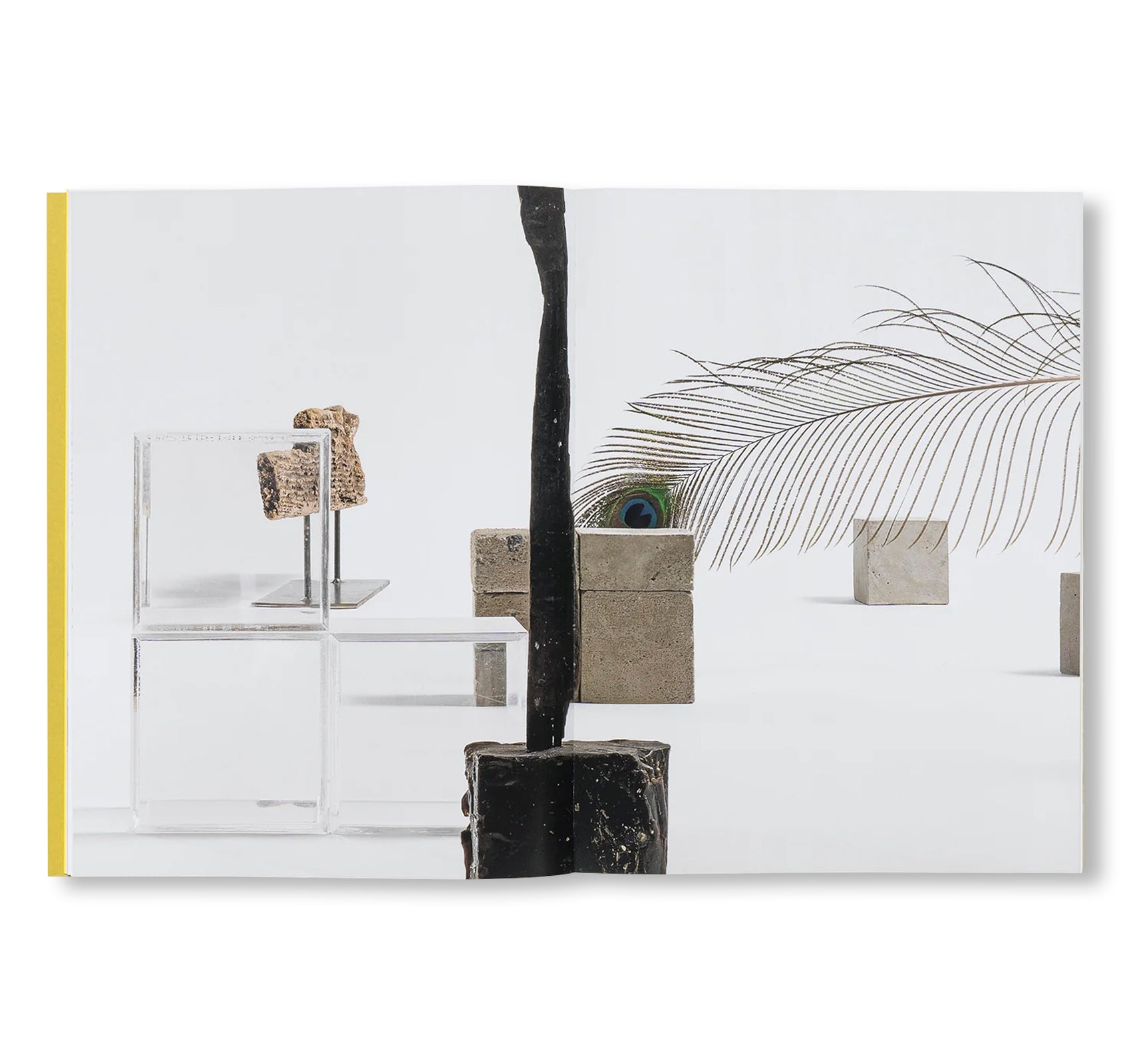 CAROL BOVE by Carol Bove (GUGGENHEIM MUSEUM)
