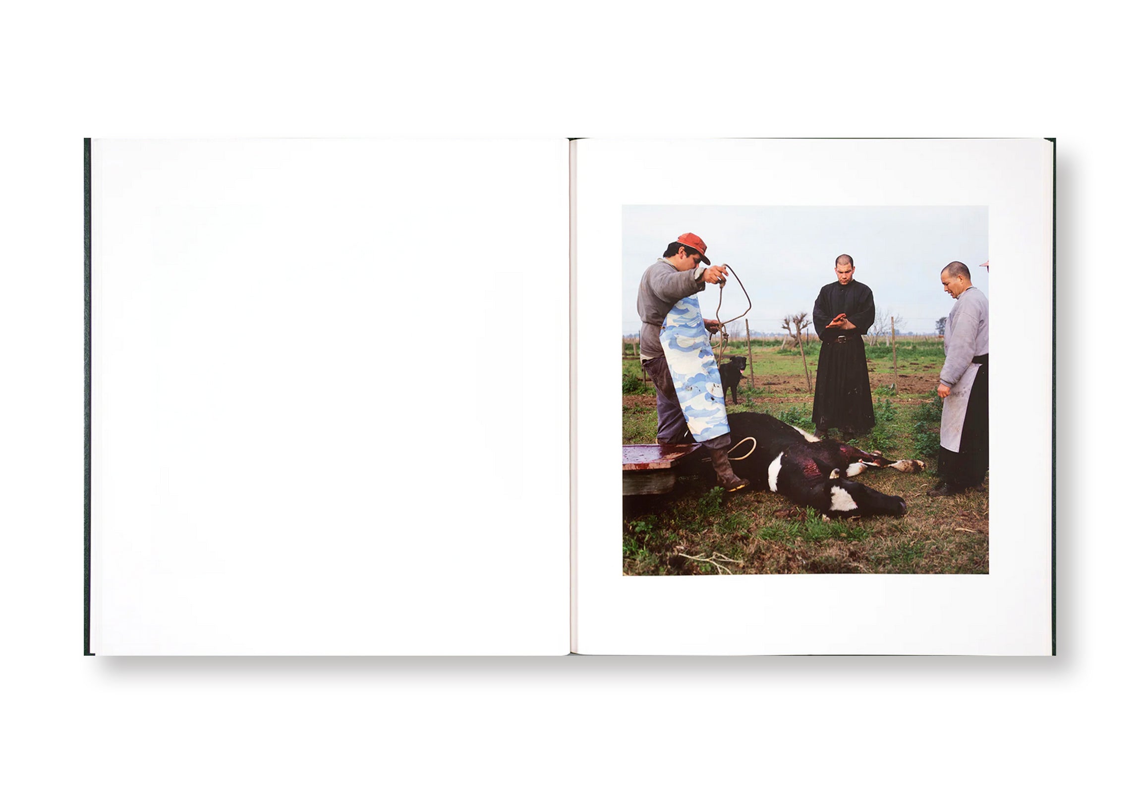 ON THE SIXTH DAY by Alessandra Sanguinetti  [SIGNED]