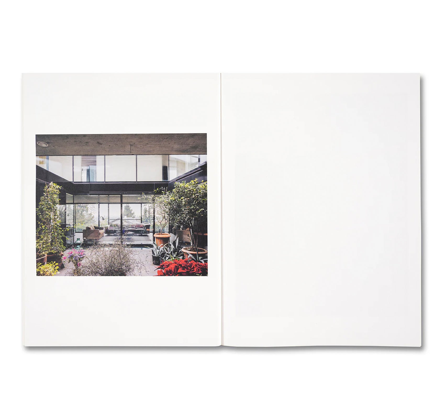 KOECHLIN HOUSE by Daisuke Hirabayashi
