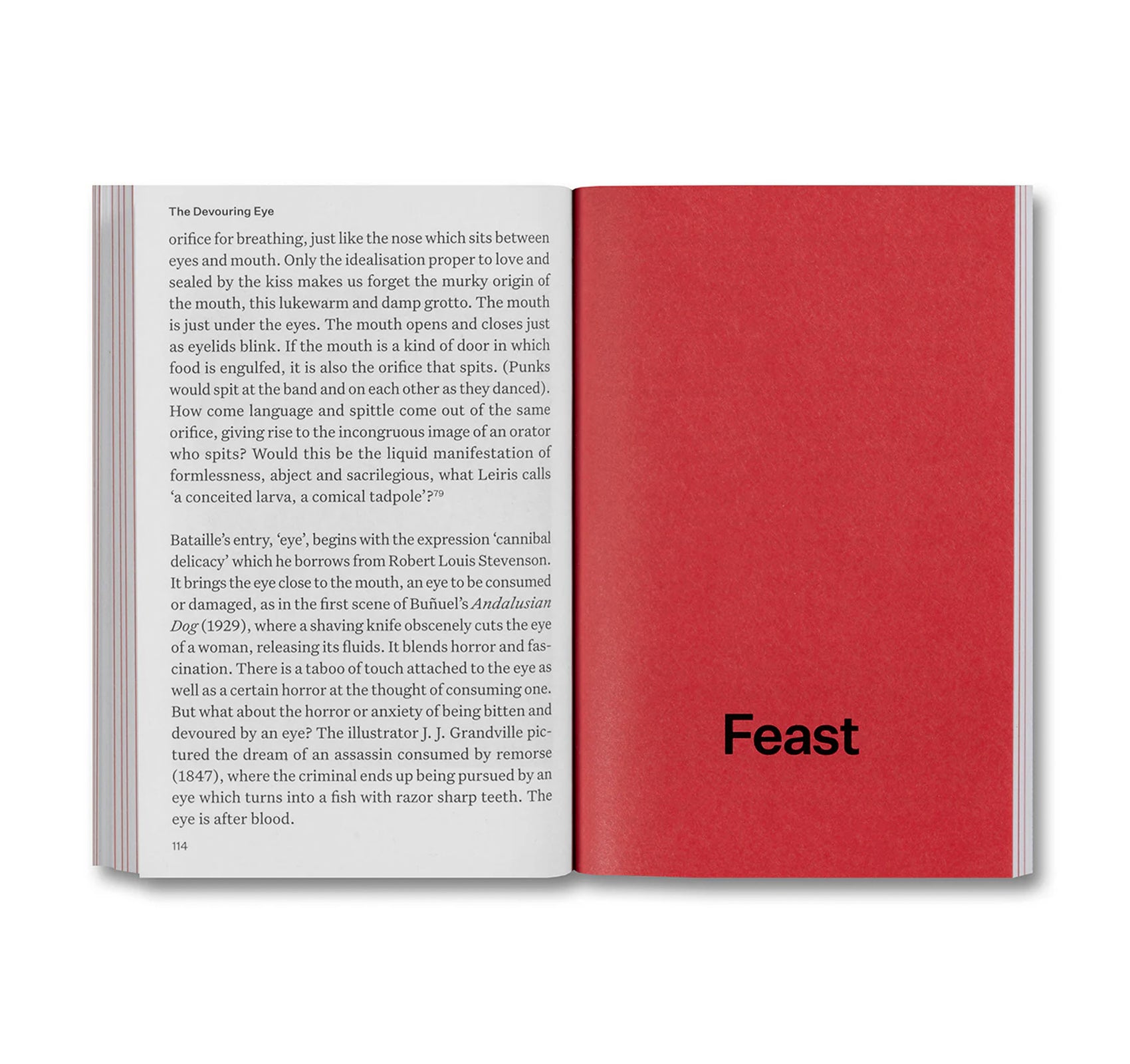 THE DEVOURING EYE: PHOTOGRAPHY AND THE MOUTH by Olivier Richon