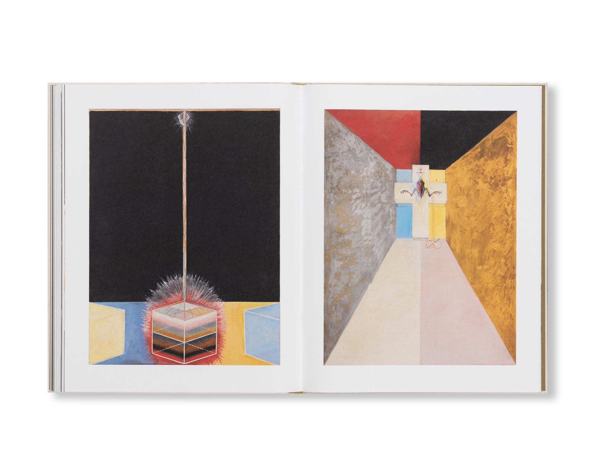 HILMA AF KLINT: VISIONARY by Hilma af Klint