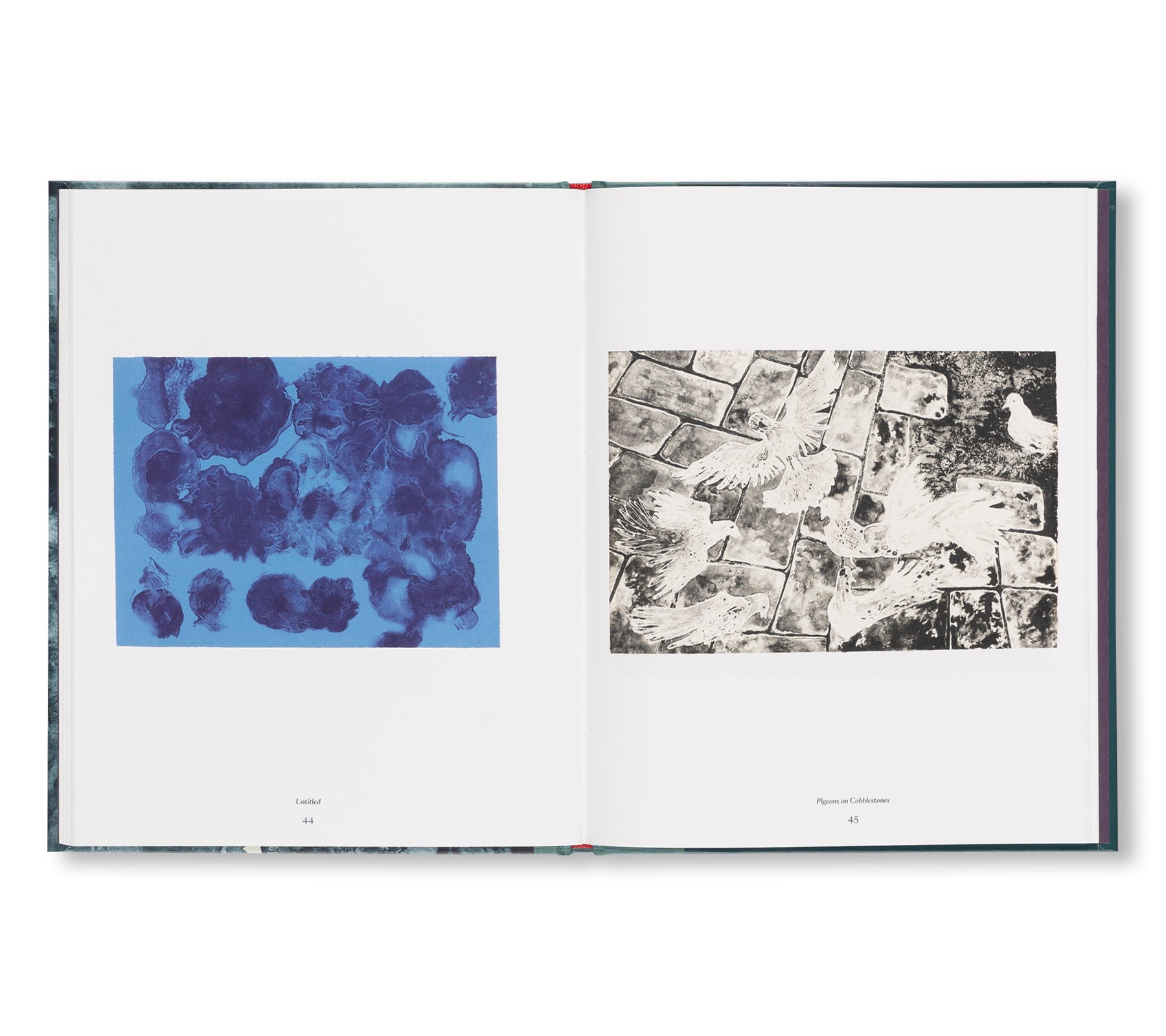 THE TAMARIND PRINTS by Ruth Asawa