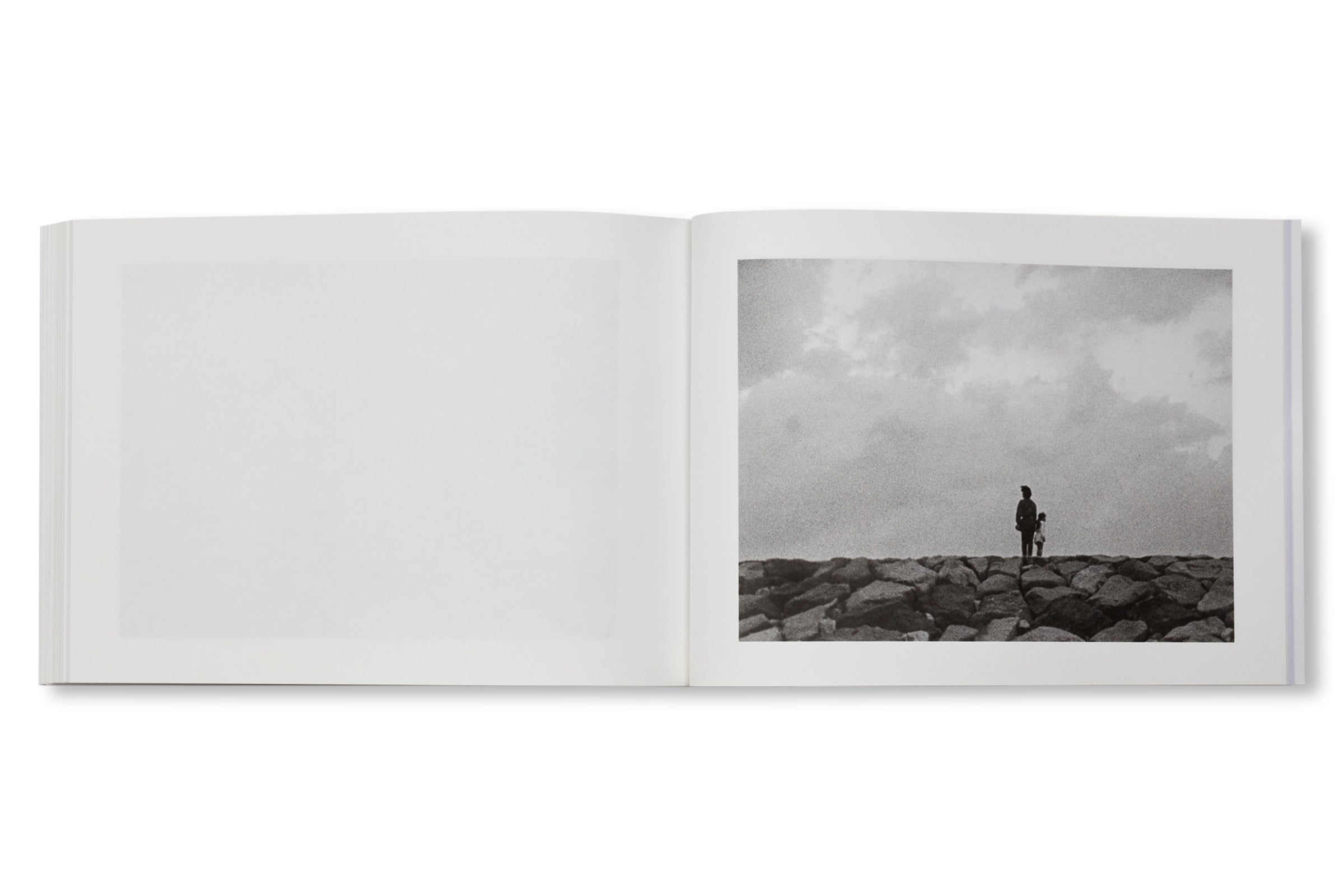 FAMILY DIARY by Issei Suda
