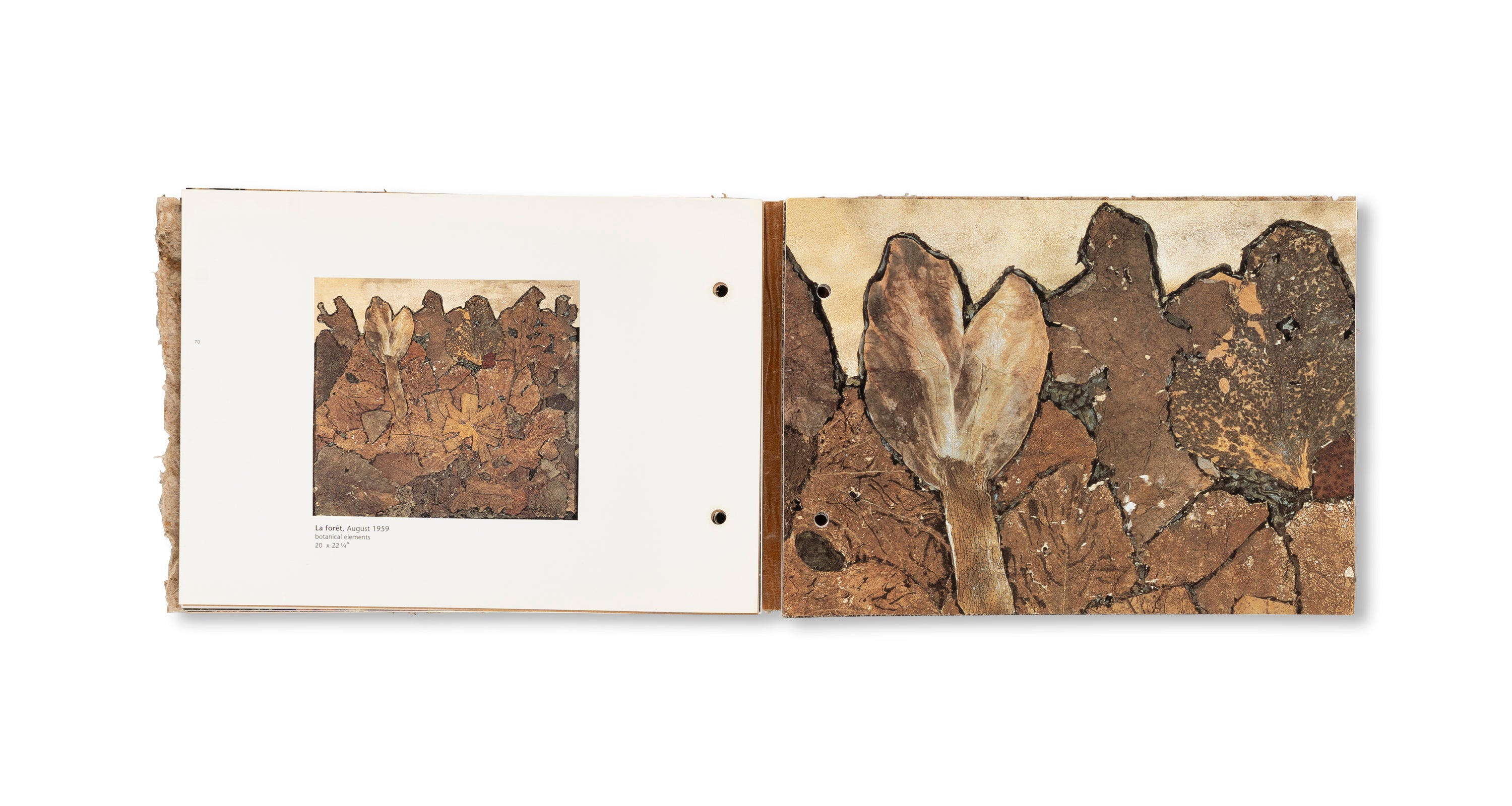 THE RADIANT EARTH by Jean Dubuffet [COVER B]