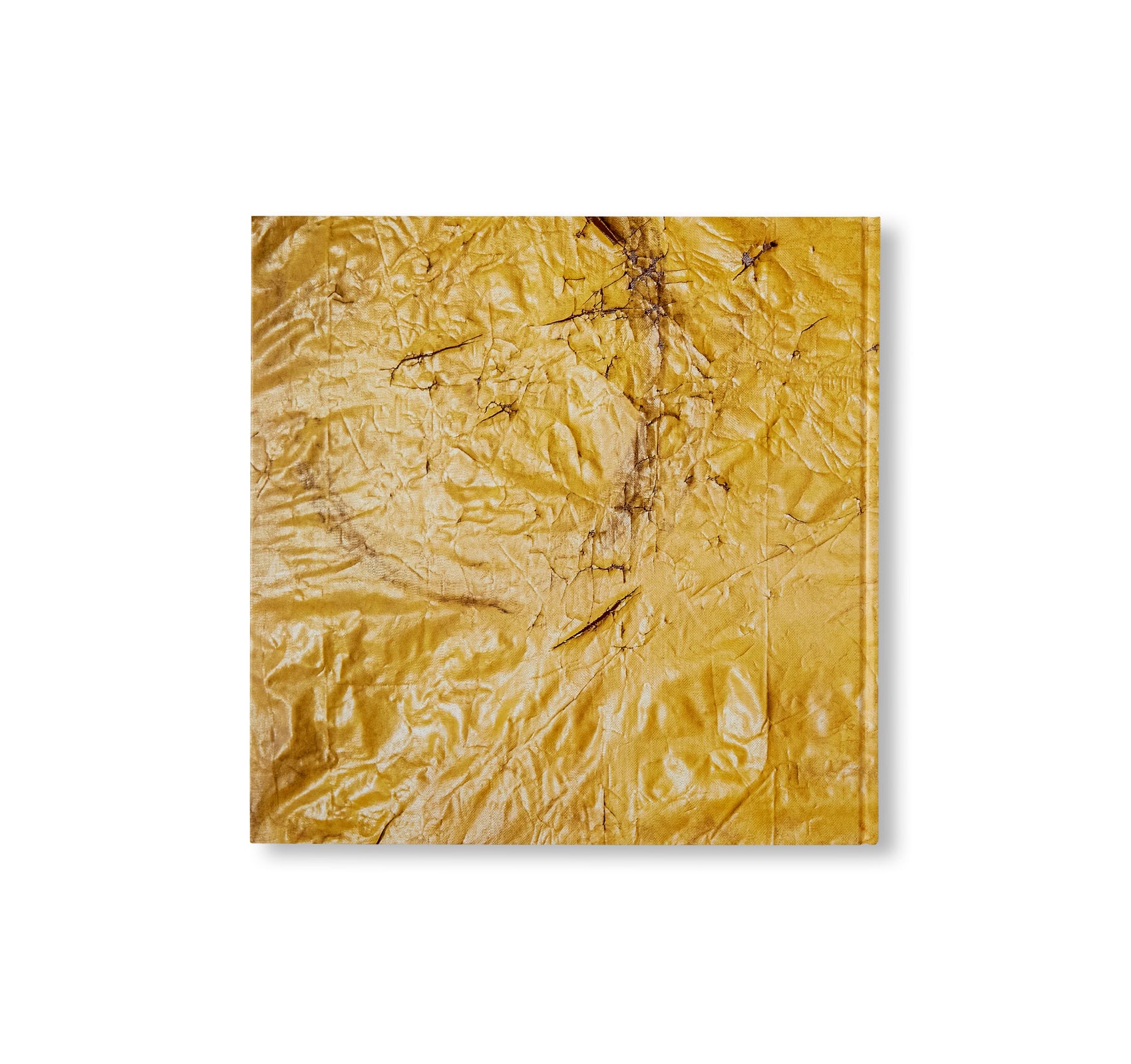DAVID HAMMONS by David Hammons (HAUSER & WIRTH)