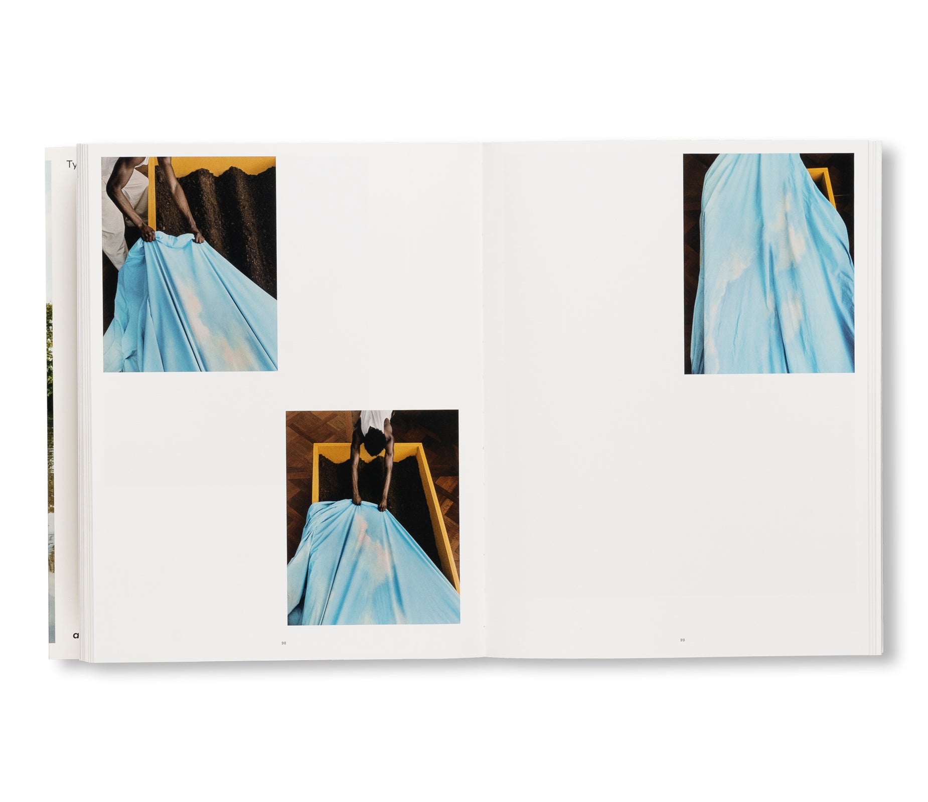 WISH THIS WAS REAL by Tyler Mitchell