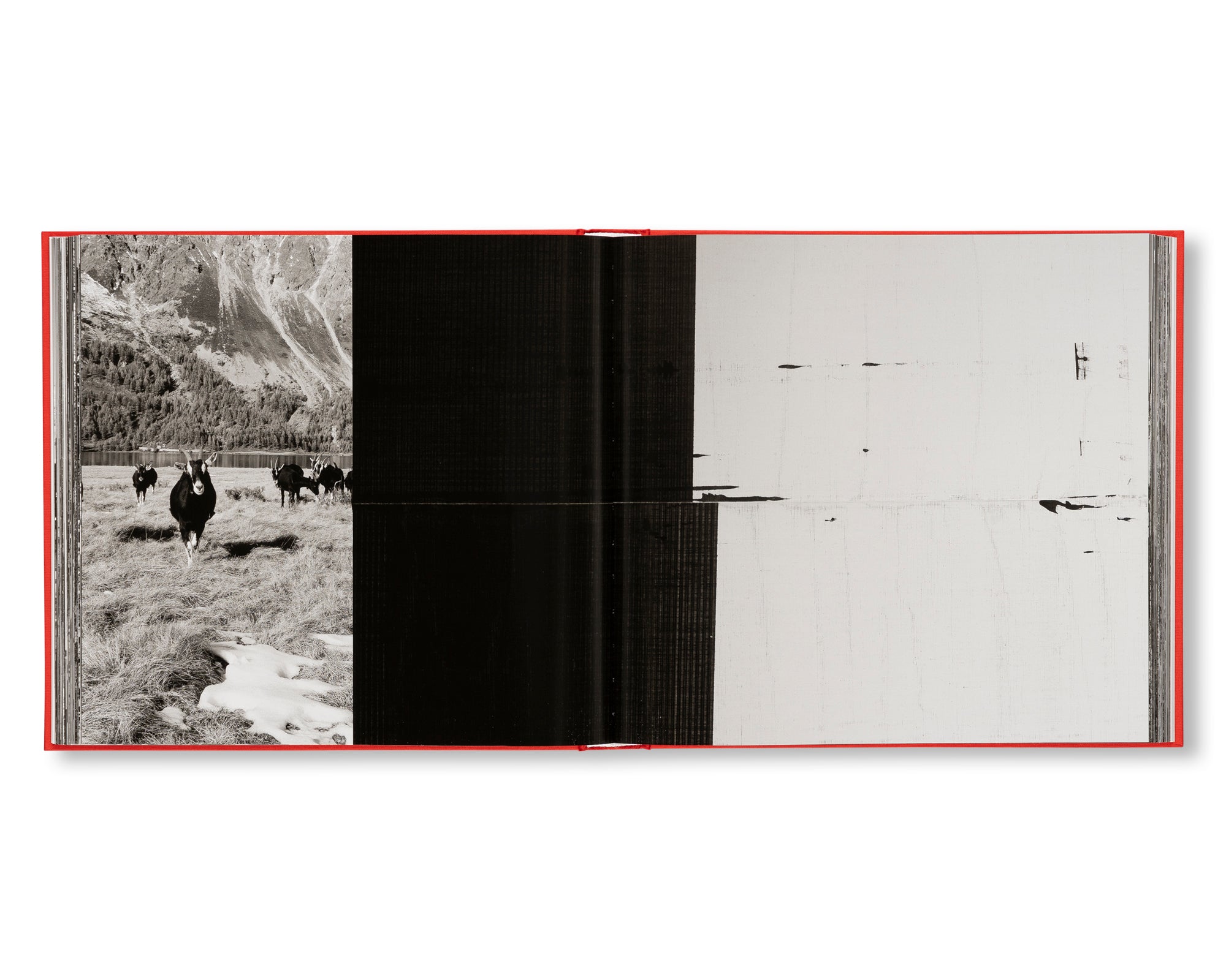 WADE GUYTON, PETER FISCHLI, DAVID WEISS by Wade Guyton, Peter Fischli, David Weiss