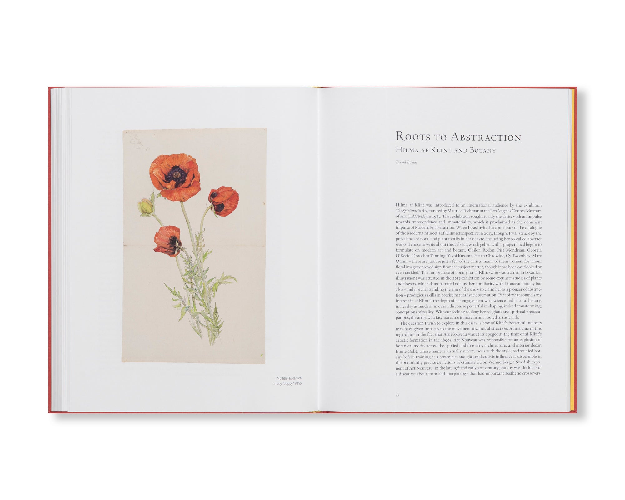 HILMA AF KLINT: SEEING IS BELIEVING by Hilma af Klint