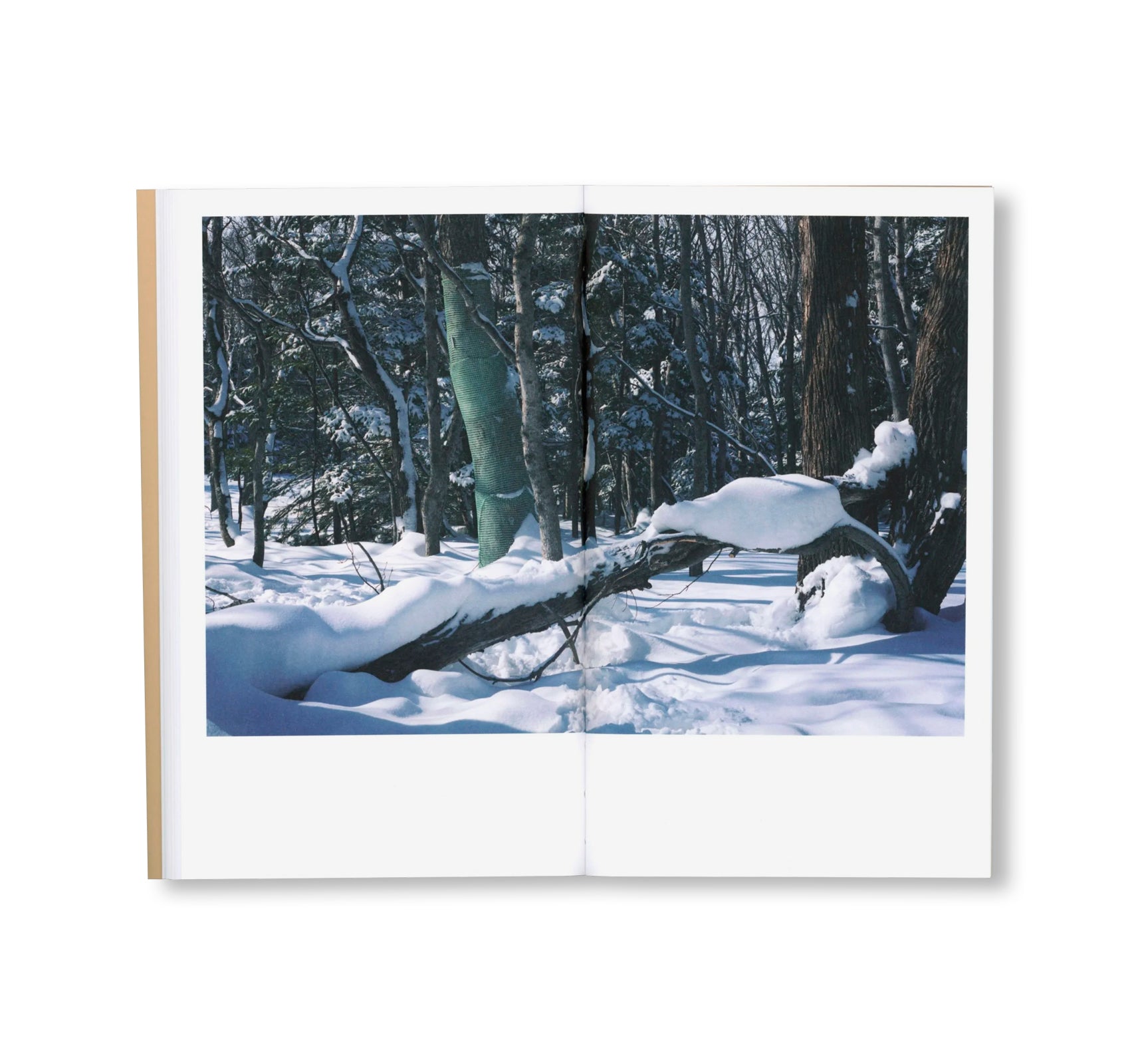 BTS by Takashi Homma [SIGNED]