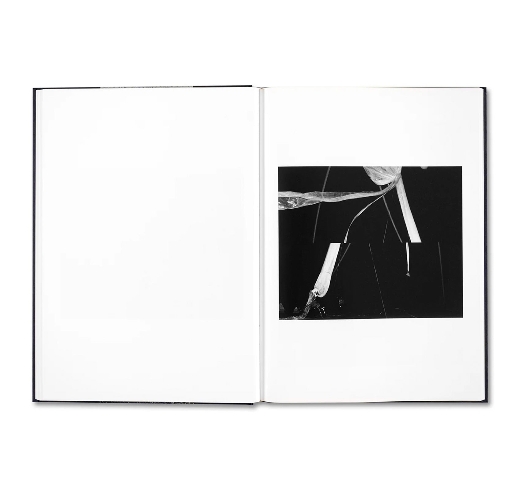 EVIDENCE by James White