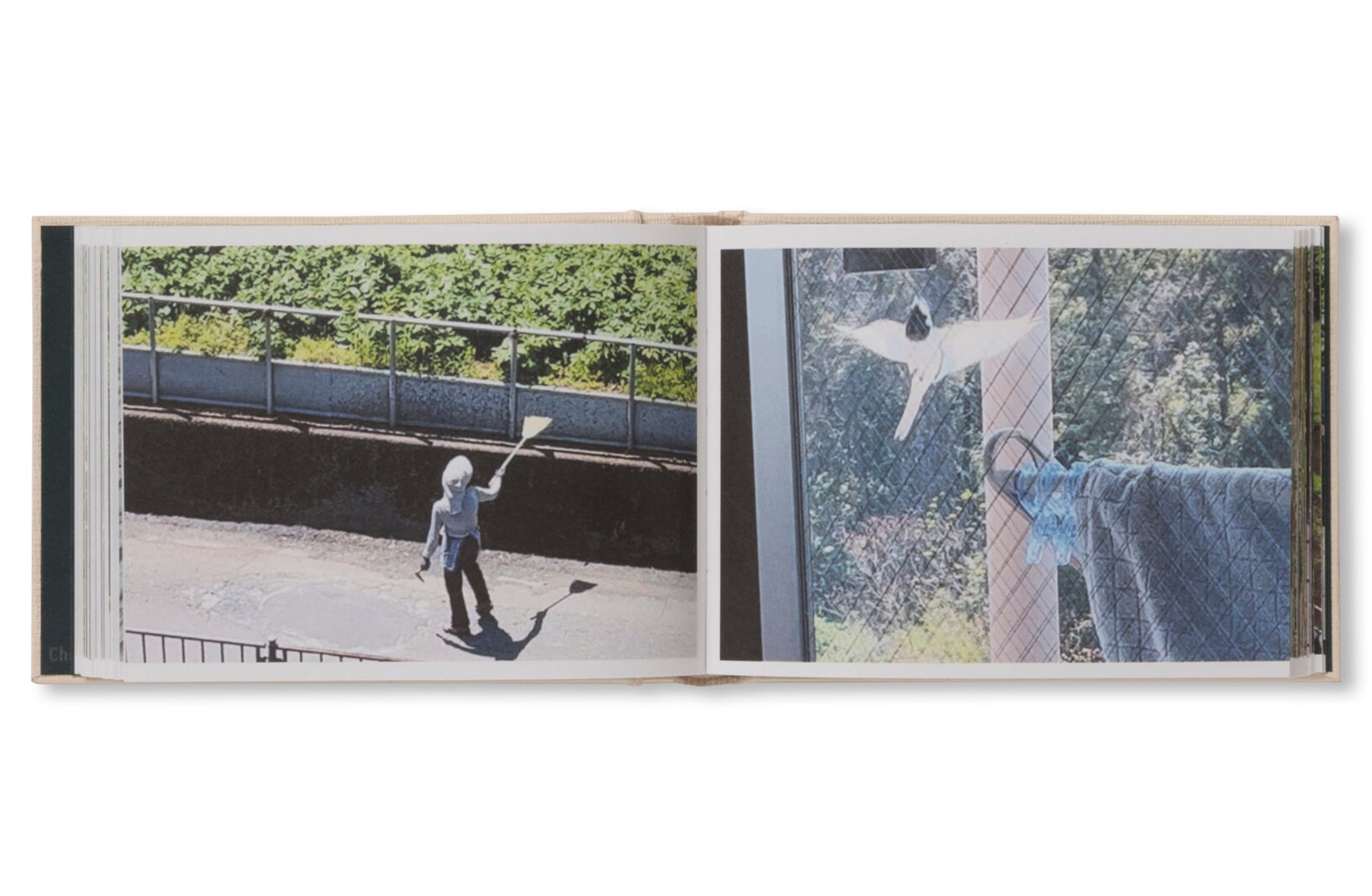SCREENSHOTS FROM A SERIES OF VIDEOS ABOUT A RICE FIELD AND ITS SURROUNDINGS by Cintia Tortosa Santisteban