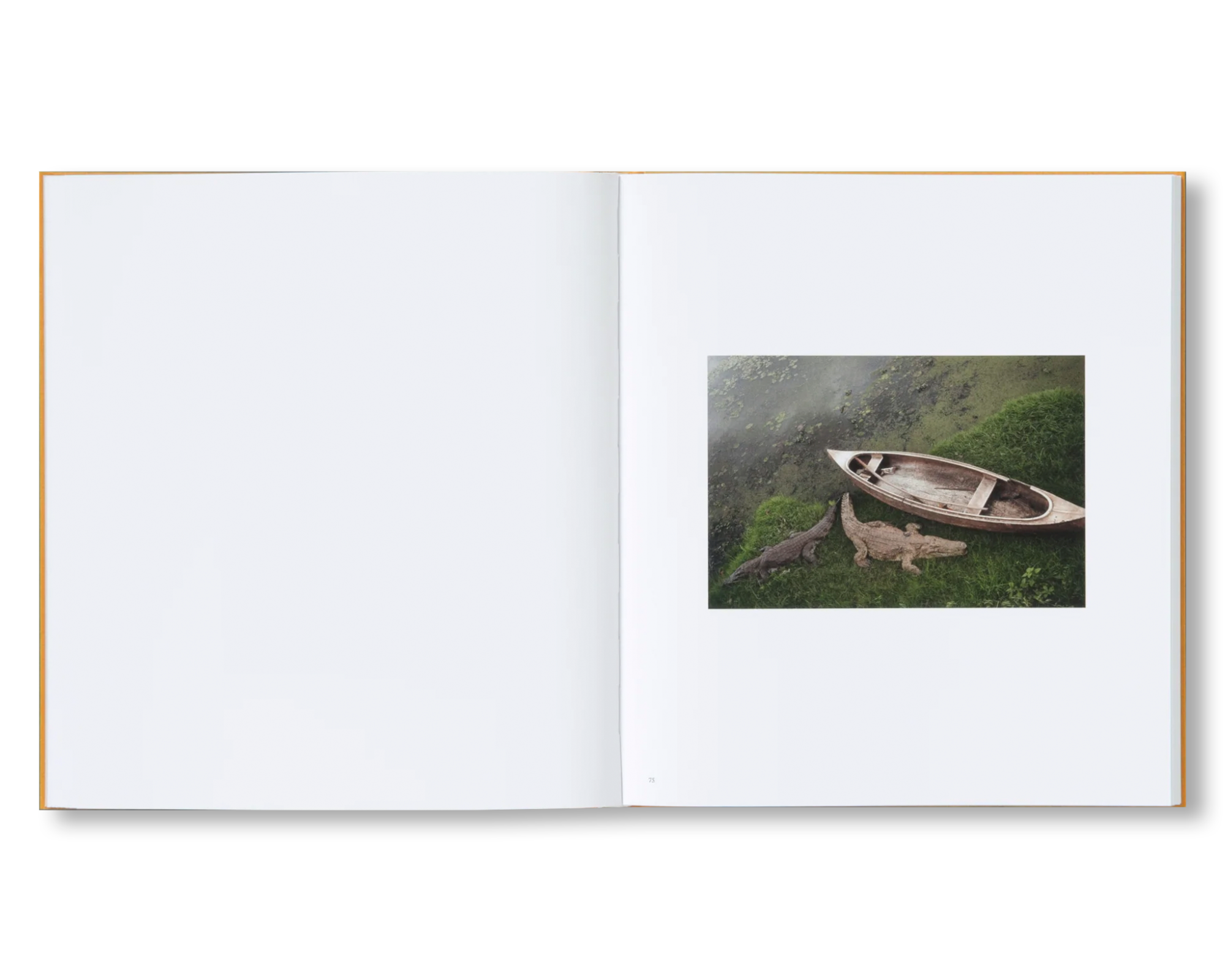 IMPOSSIBLE ISLAND by Henry Roy