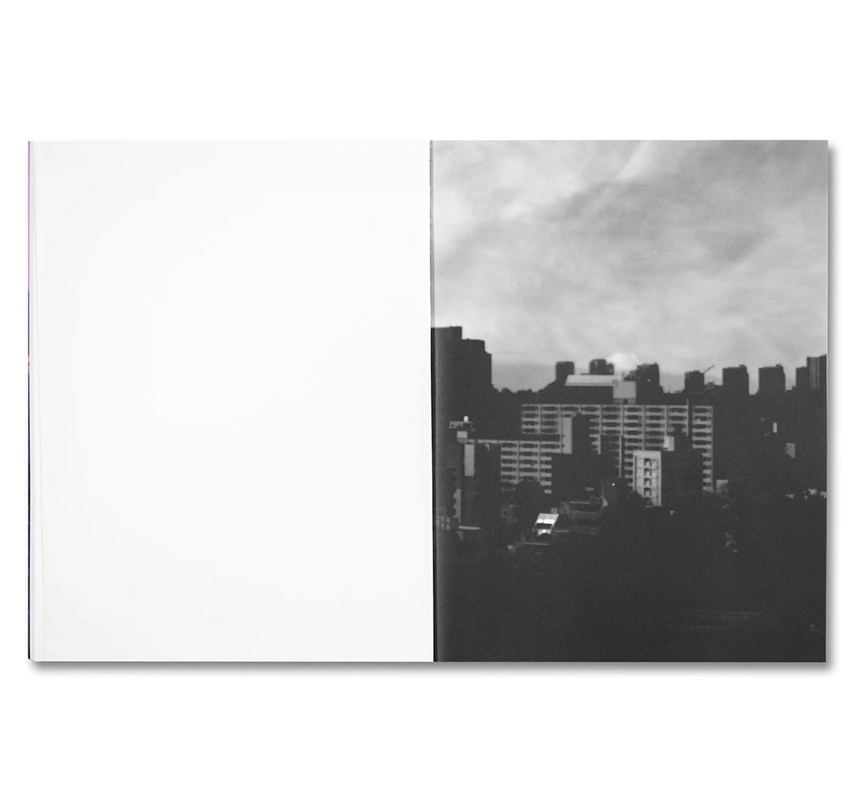 THIRTY-SIX VIEWS OF MOUNT FUJI by Takashi Homma