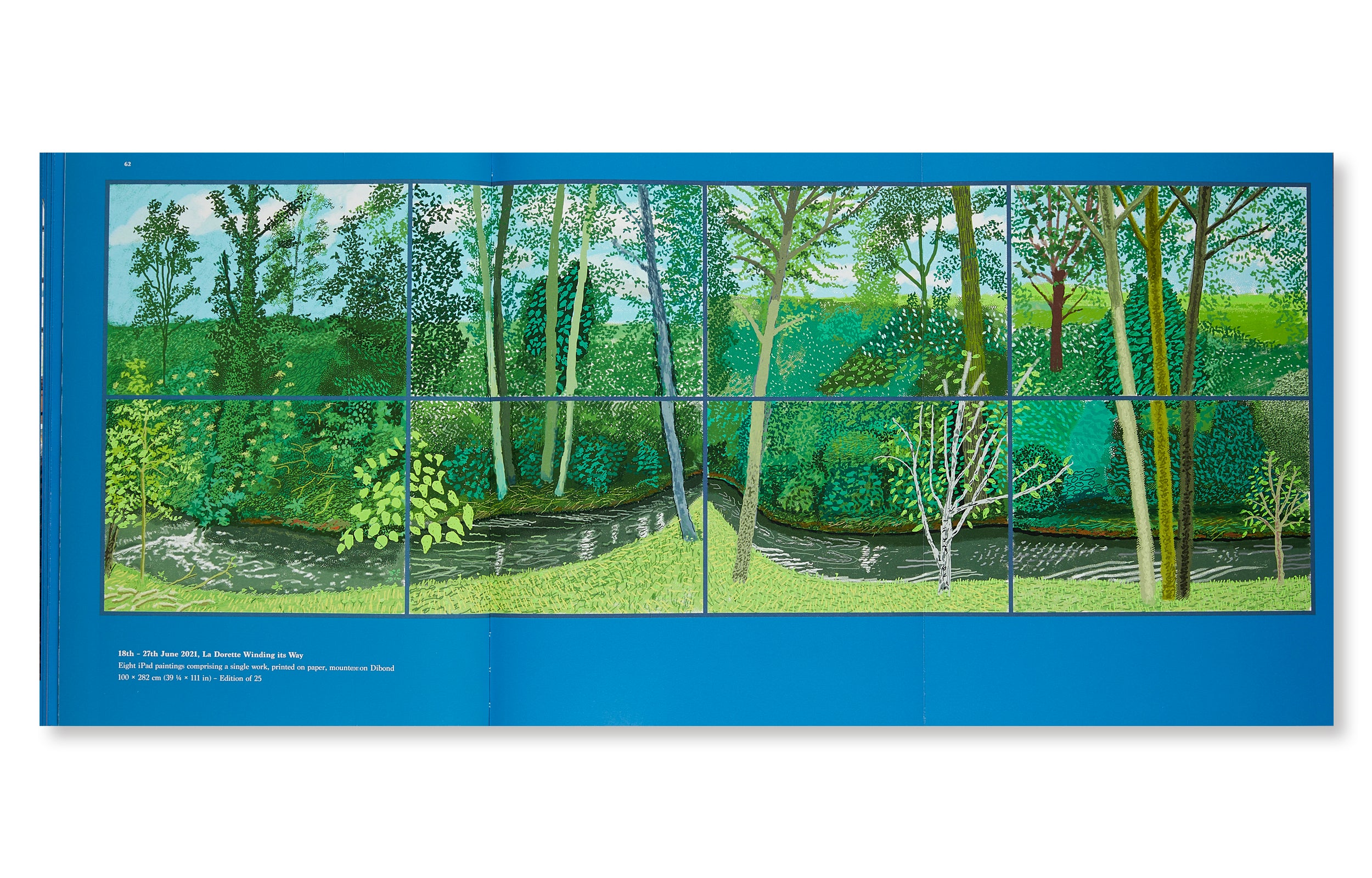 20 FLOWERS AND SOME BIGGER PICTURES by David Hockney