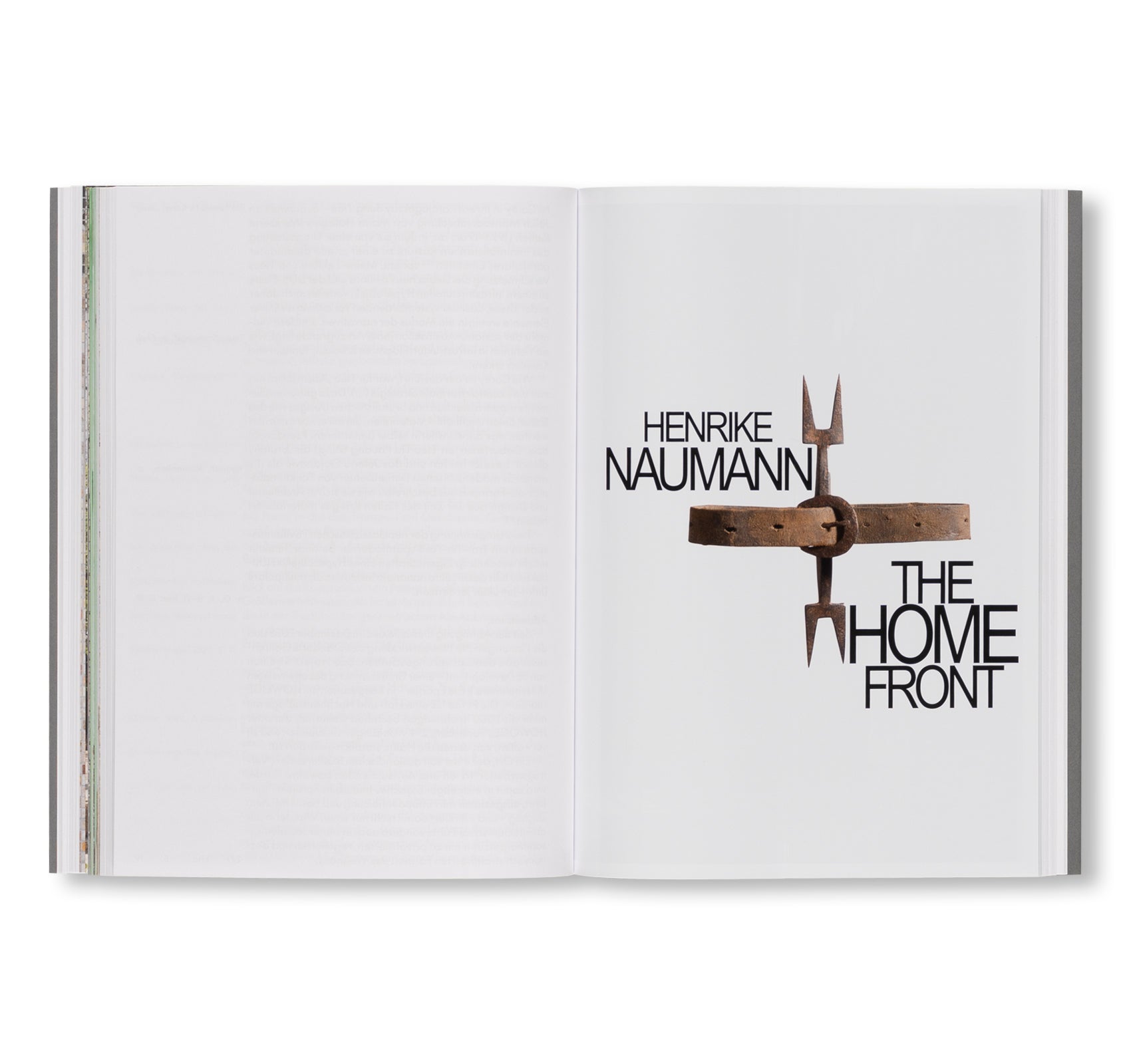 THE RUIN. THE GERMAN CONTRIBUTION TO THE 61ST VENICE BIENNALE by Henrike Naumann, Sung Tieu
