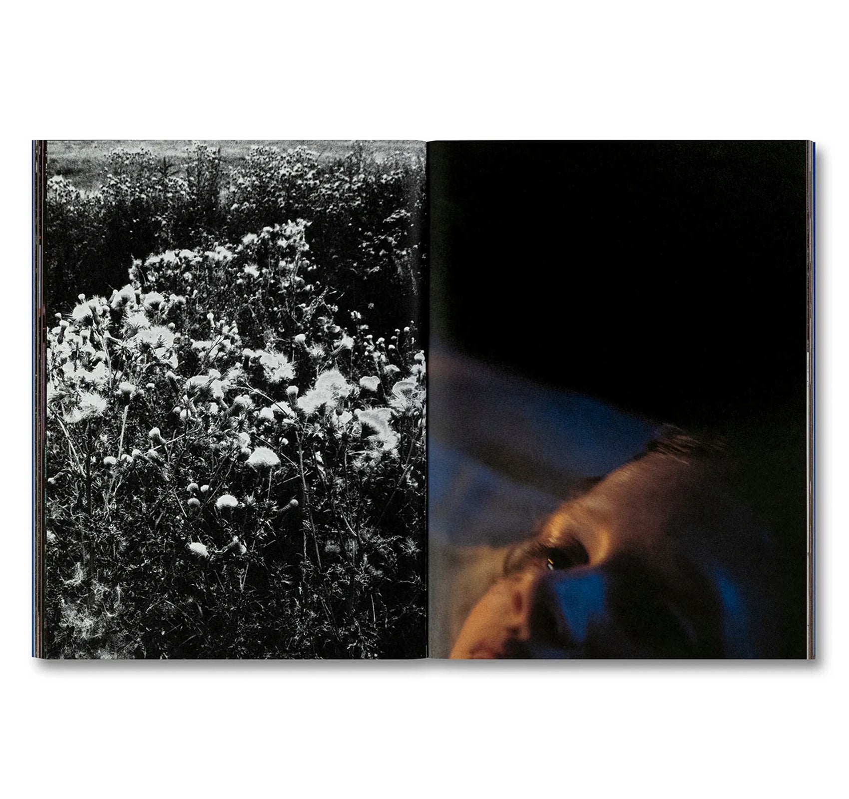 EVEN AS A SHADOW, EVEN AS A DREAM by Chloé Zhao, Jessie Buckley, Agata Grzybowska