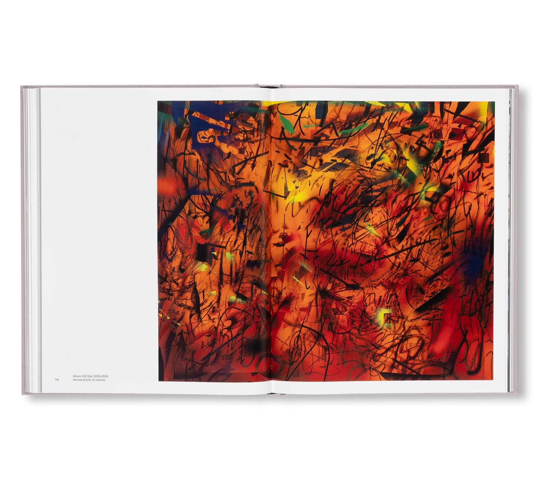 A TRANSCORE OF THE RADICAL IMAGINATORY by Julie Mehretu