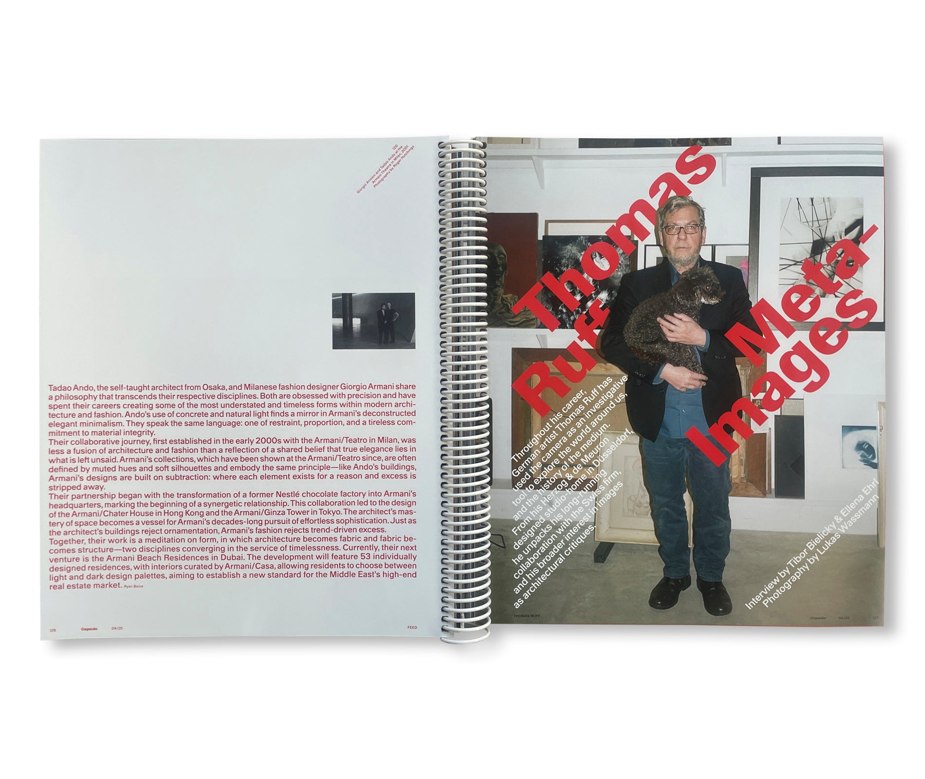 CAPSULE ISSUE 4 – THE ARCHITECTURE OF DSM