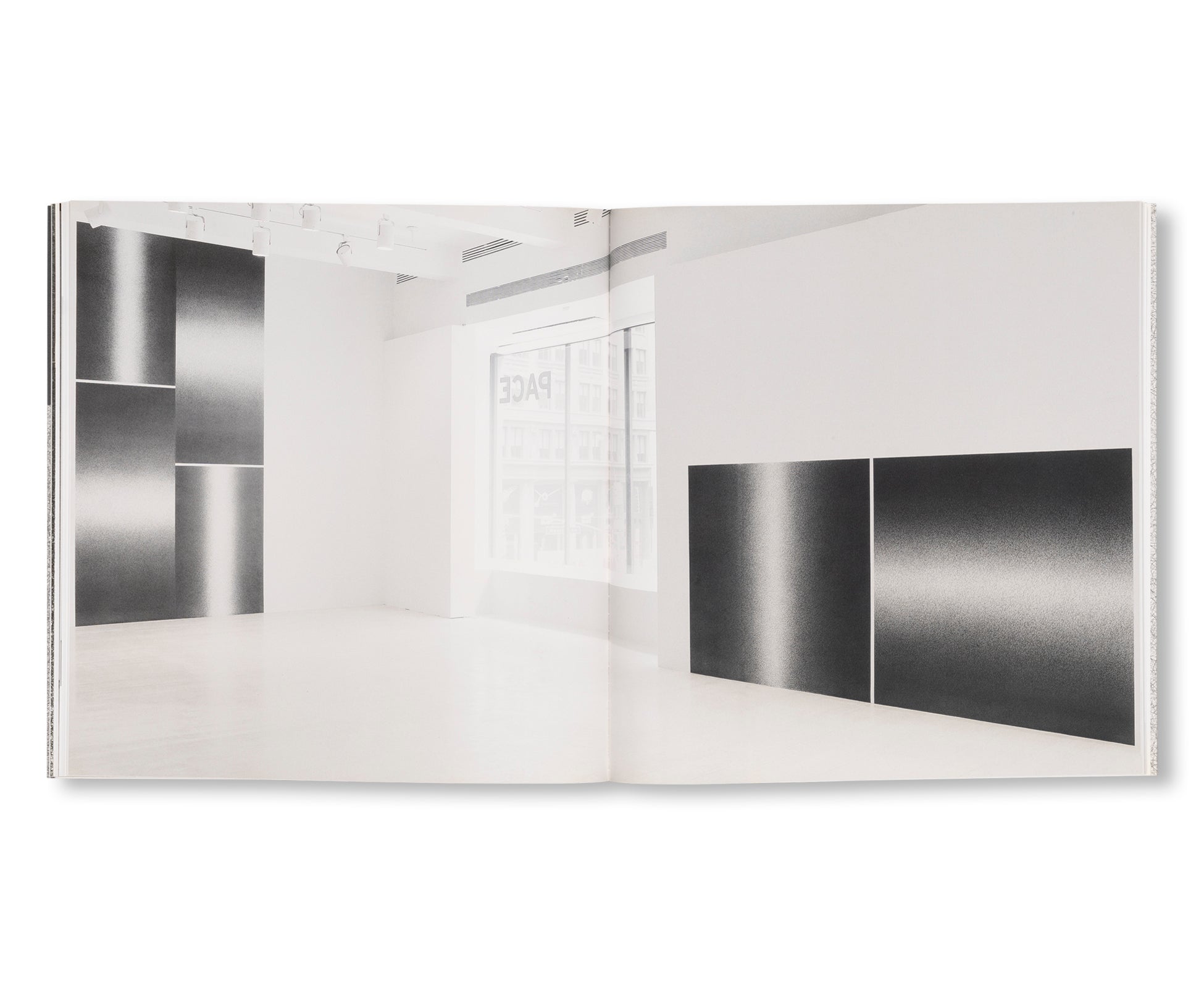 SCRIBBLE WALL DRAWINGS by Sol LeWitt