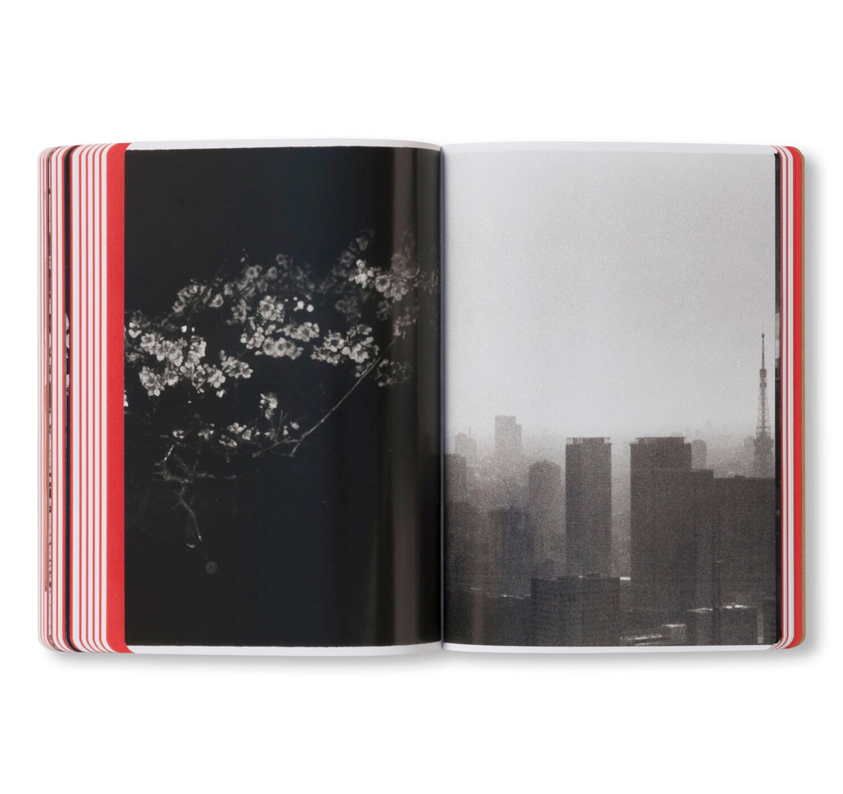 THE ARTIST’S ATLAS: TOKYO