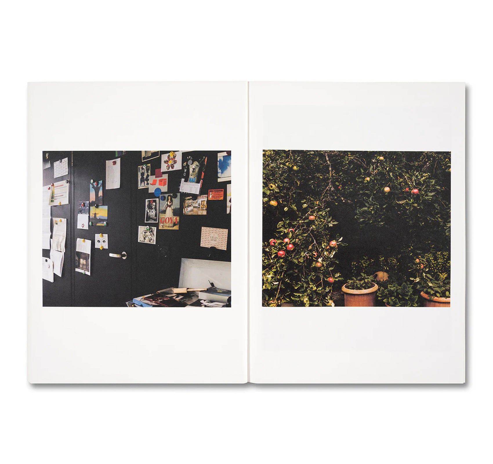 KOECHLIN HOUSE by Daisuke Hirabayashi