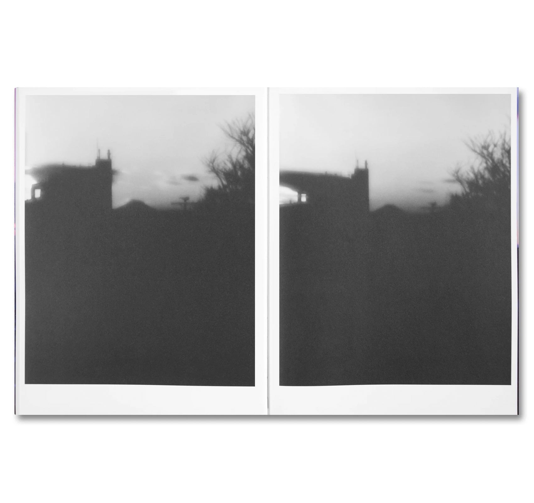 THIRTY-SIX VIEWS OF MOUNT FUJI by Takashi Homma