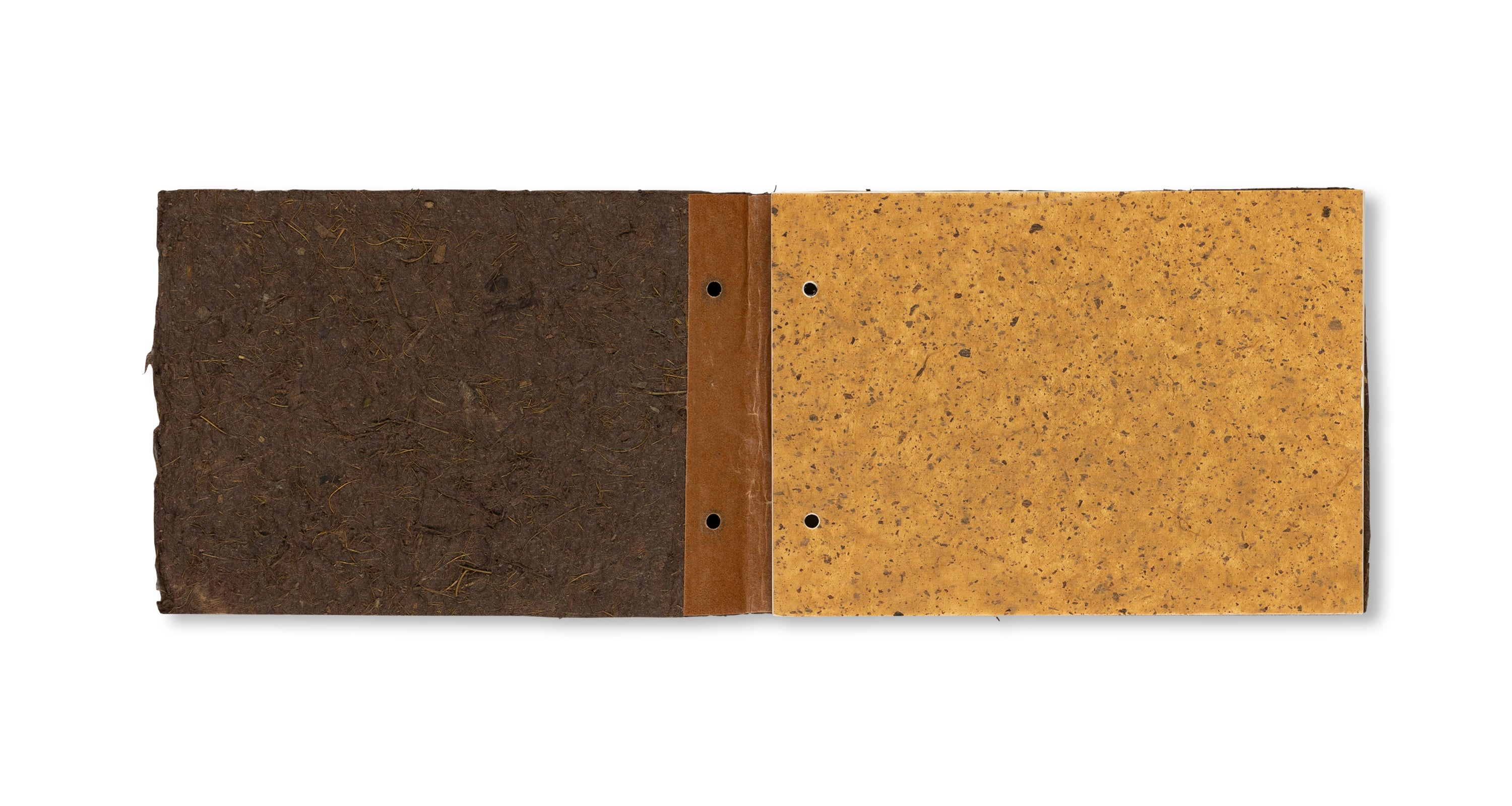 THE RADIANT EARTH by Jean Dubuffet [COVER B]