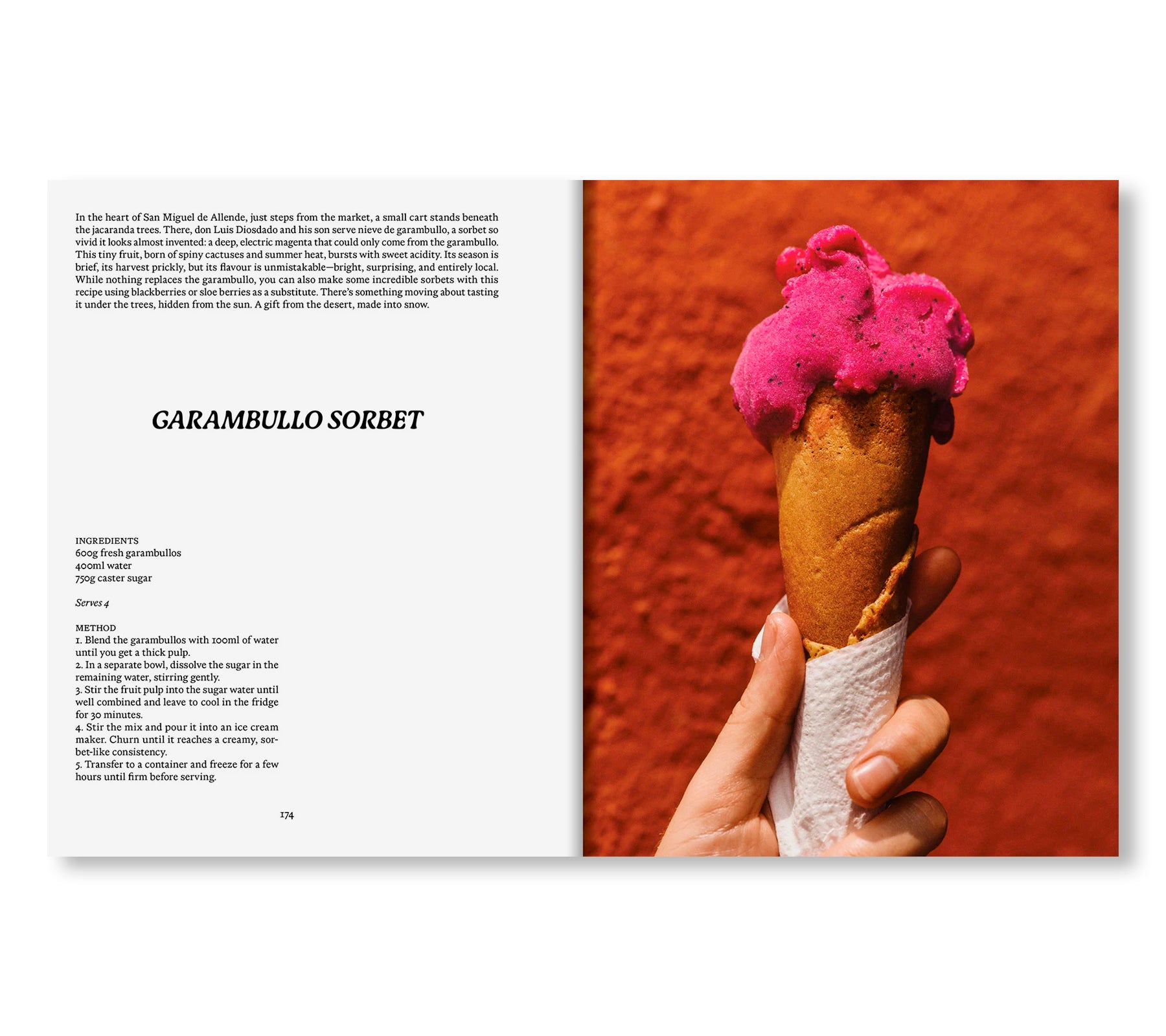 EL BAJÍO: RECIPES & WANDERINGS