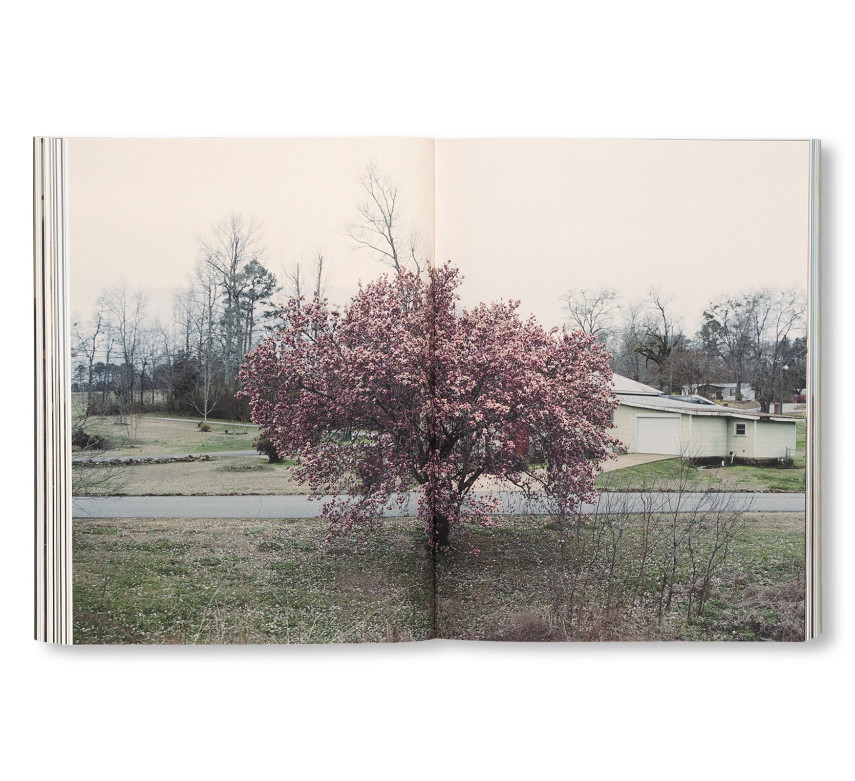 FAILING by Mike Brodie