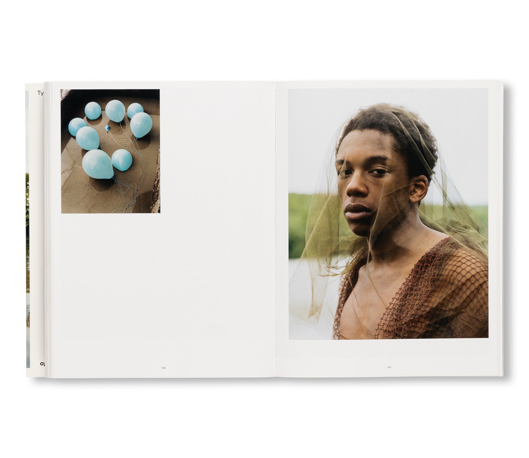 WISH THIS WAS REAL by Tyler Mitchell