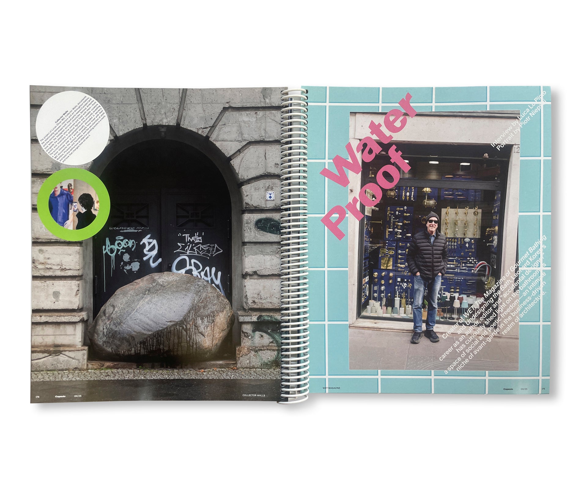 CAPSULE ISSUE 4 – THE ARCHITECTURE OF DSM