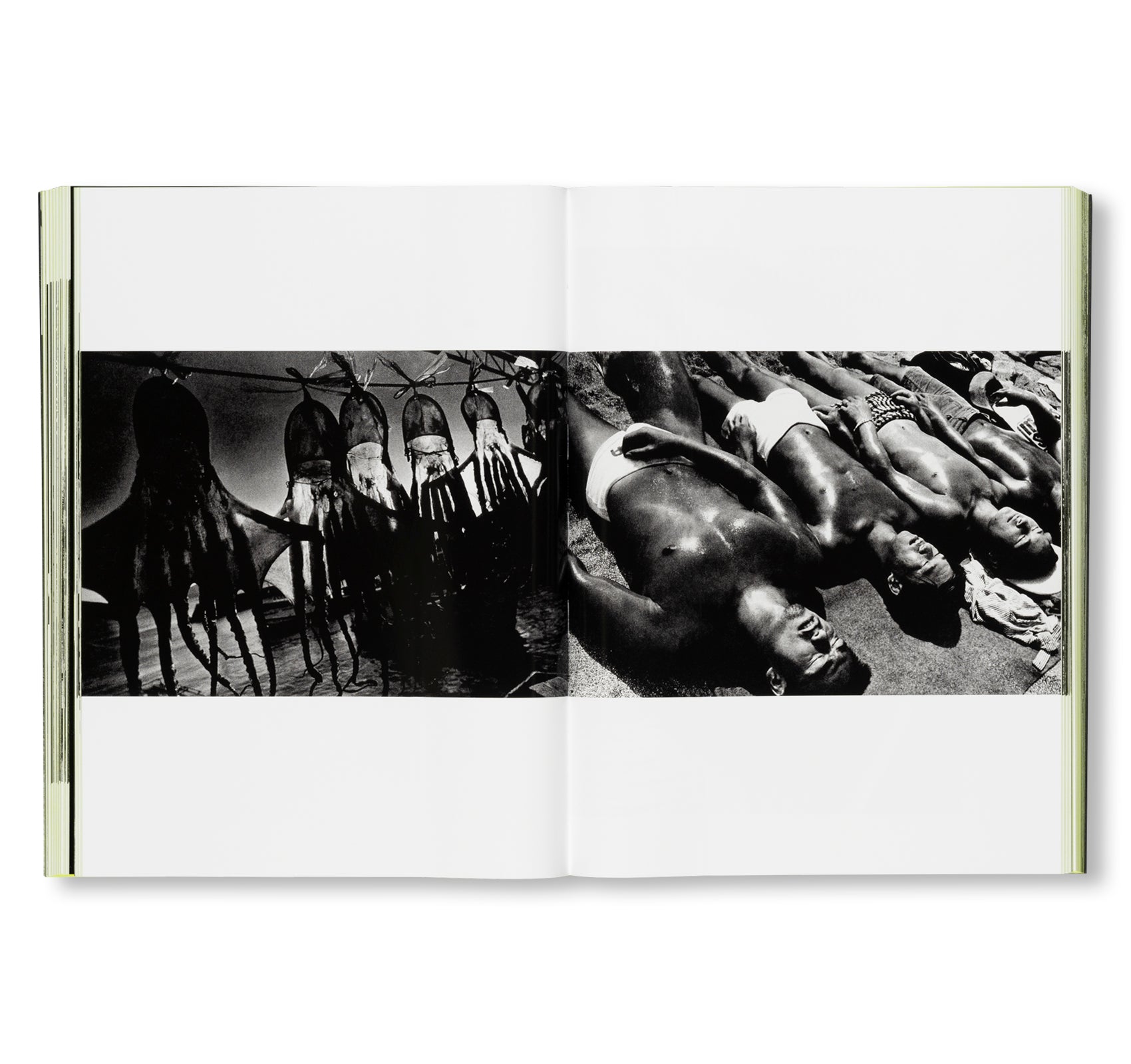 MORIYAMA: QUARTET by Daido Moriyama
