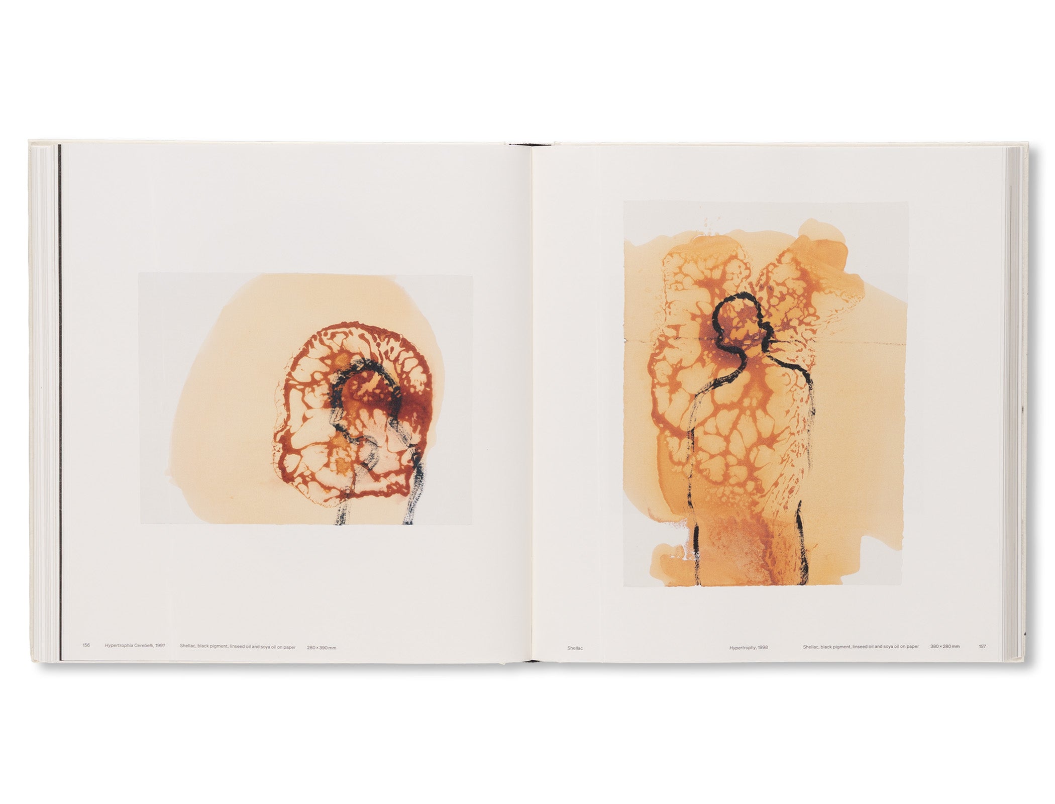 DRAWING: ANTONY GORMLEY by Antony Gormley