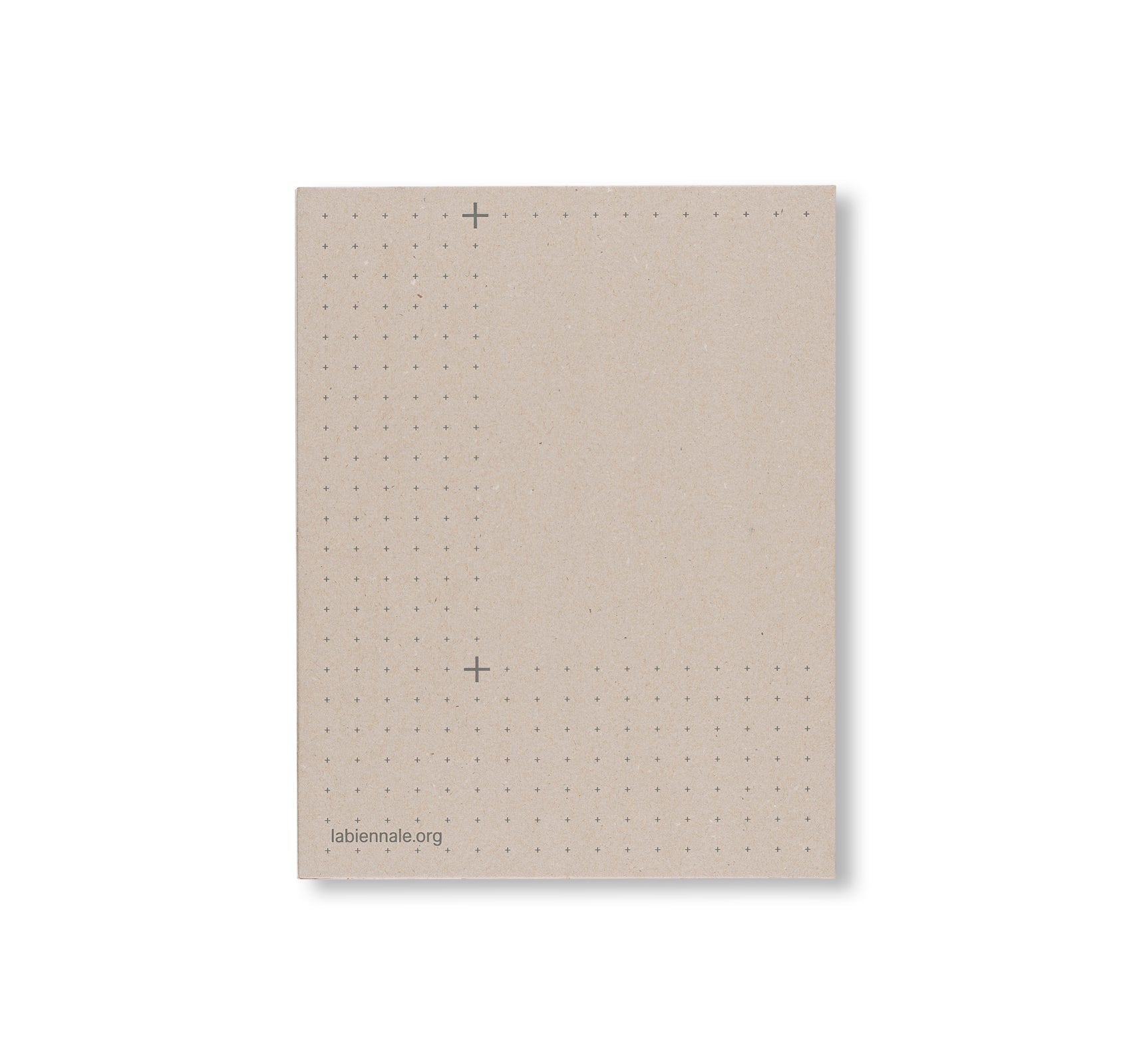 BIENNALE ARCHITETTURA 2025: INTELLIGENS. NATURAL. ARTIFICIAL. COLLECTIVE.