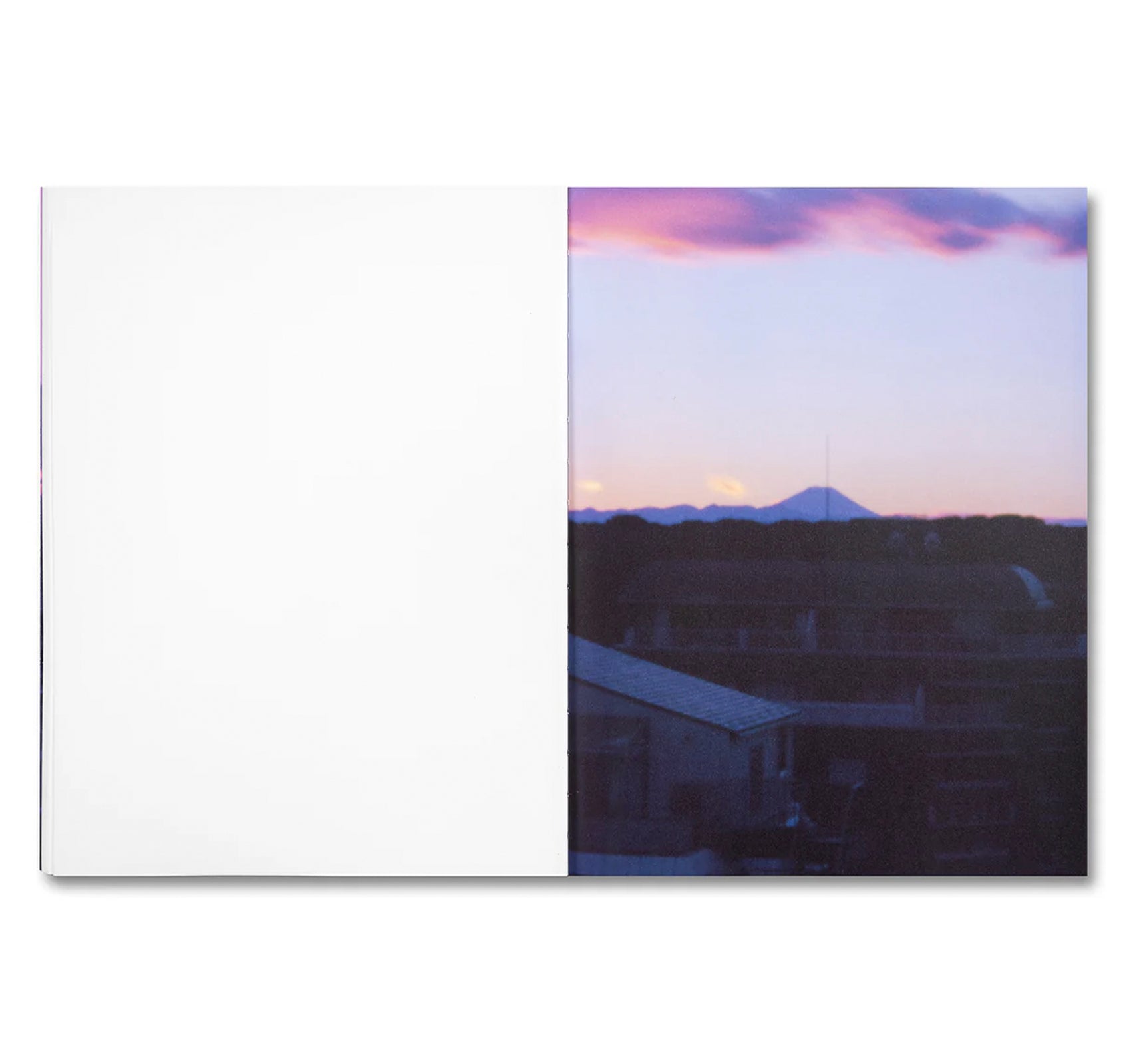 THIRTY-SIX VIEWS OF MOUNT FUJI by Takashi Homma